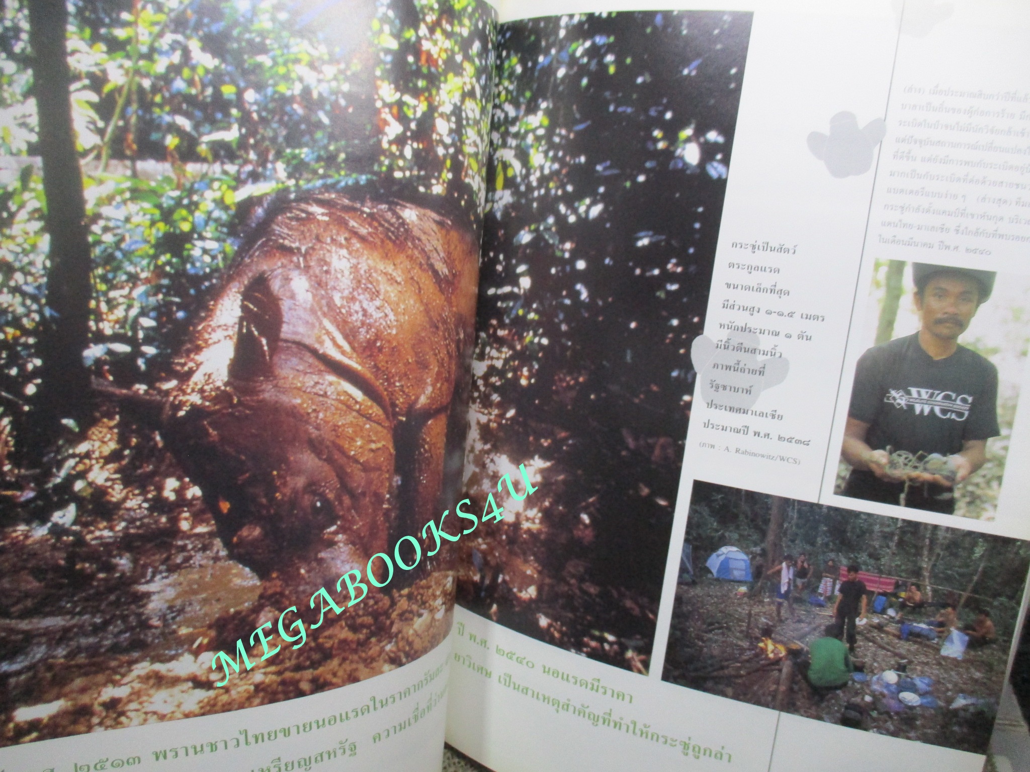 นิตยสารสารคดี ฉบับที่177 ตุลาคม พ.ศ.2542,กระซู่,นิติเวชศาสตร์,ผู้นำเด็กแฝด กระเหรี่ยงติดอาวุธ