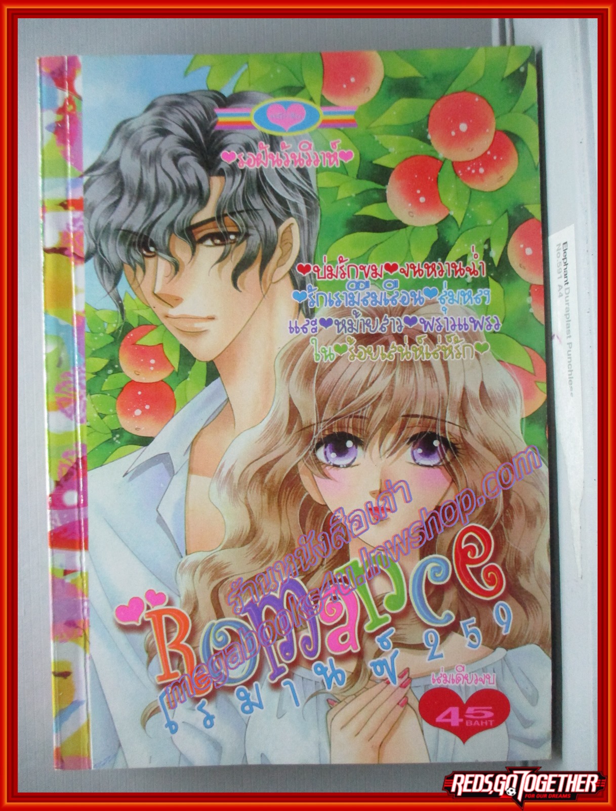 การ์ตูนบ้าน ROMANCE โรมานซ์ 259 เล่มเดียวจบ สนพ.หมึกจีน