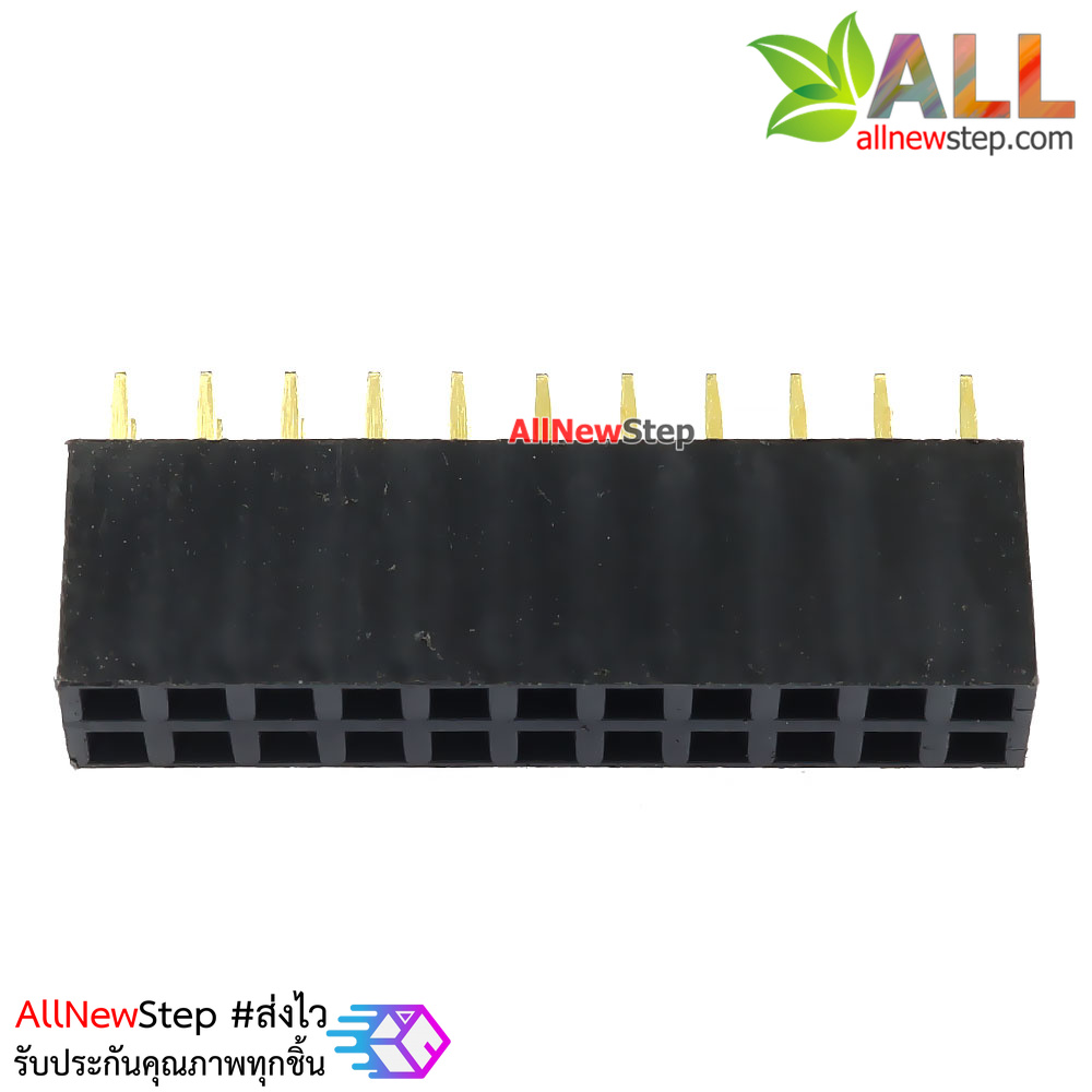 2x11P 2.54mm pitch female double row female socket 2x11 pin