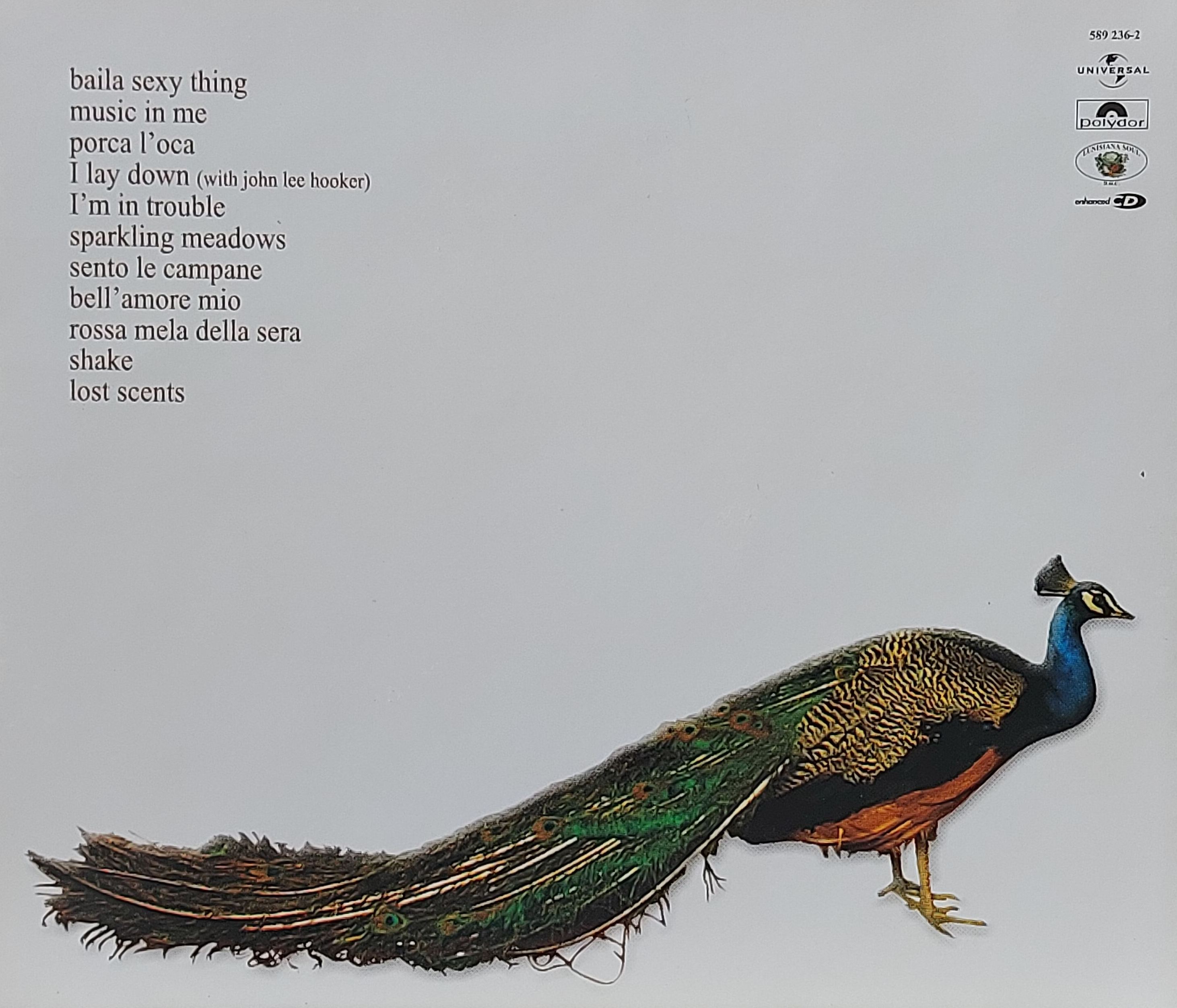 Used CD,Zucchero - Shake (A+)(2001)(EU)