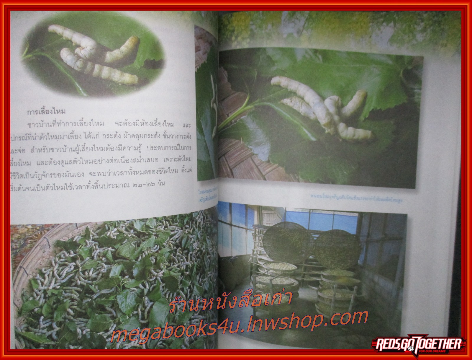 ขอนแก่น เมืองเสียงแคนแดนดอกคูน หนังสืออ่านเพิ่มเติมสังคมศึกษา ระดับประถมศึกษาและมัธยมศึกษา