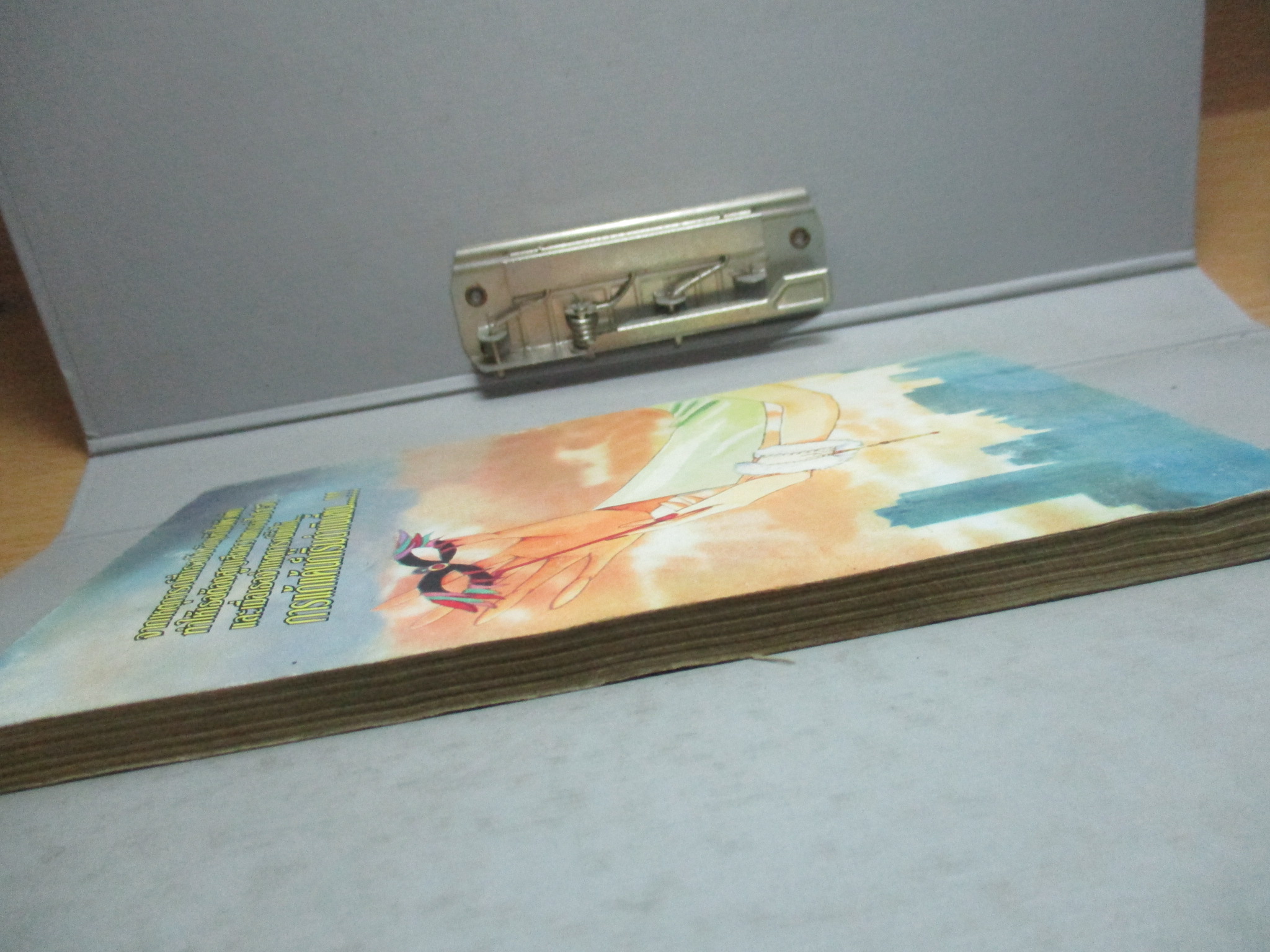 การ์ตูนบ้าน เพลิงแค้นพยาบาท เล่ม2 (2เล่มจบ) โดย SAITO CHIHO สนพ.NEW PROJECT