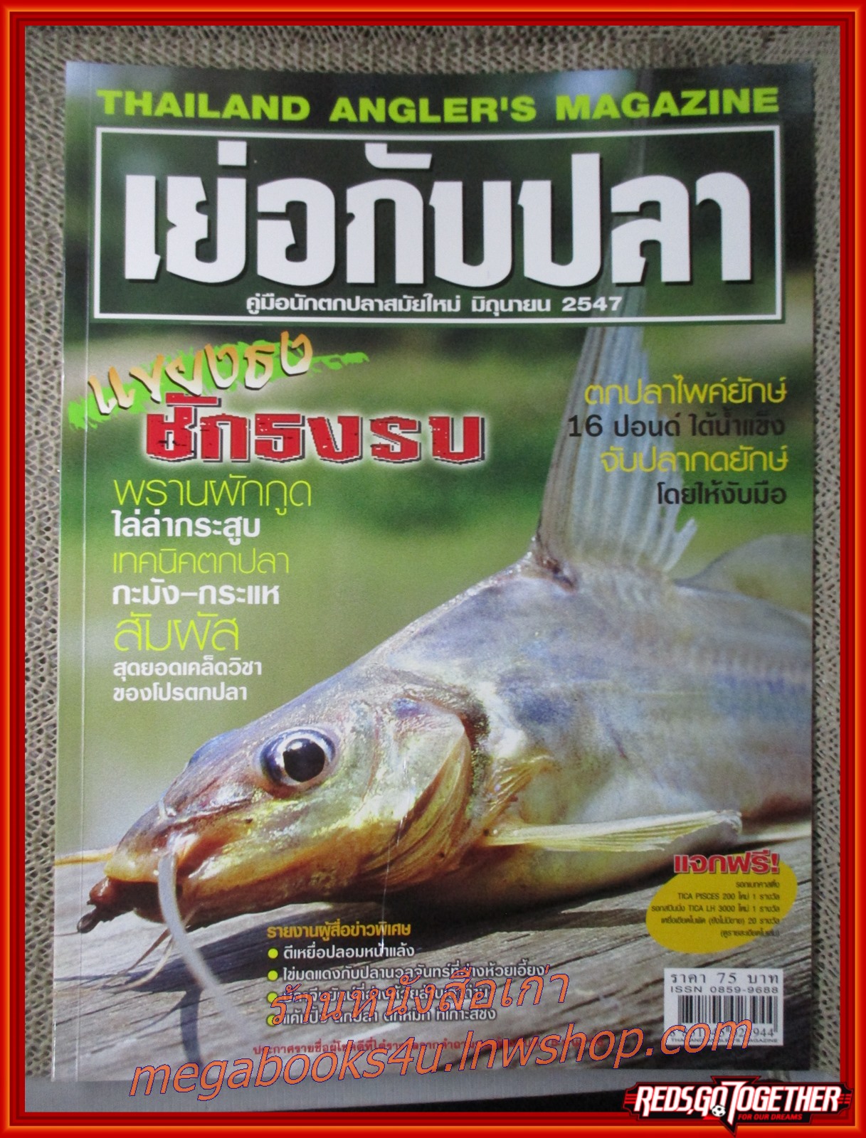 นิตยสาร เย่อกับปลา ฉบับที่077 ปี2547 ปก แขยงธง ชักธงรบ
