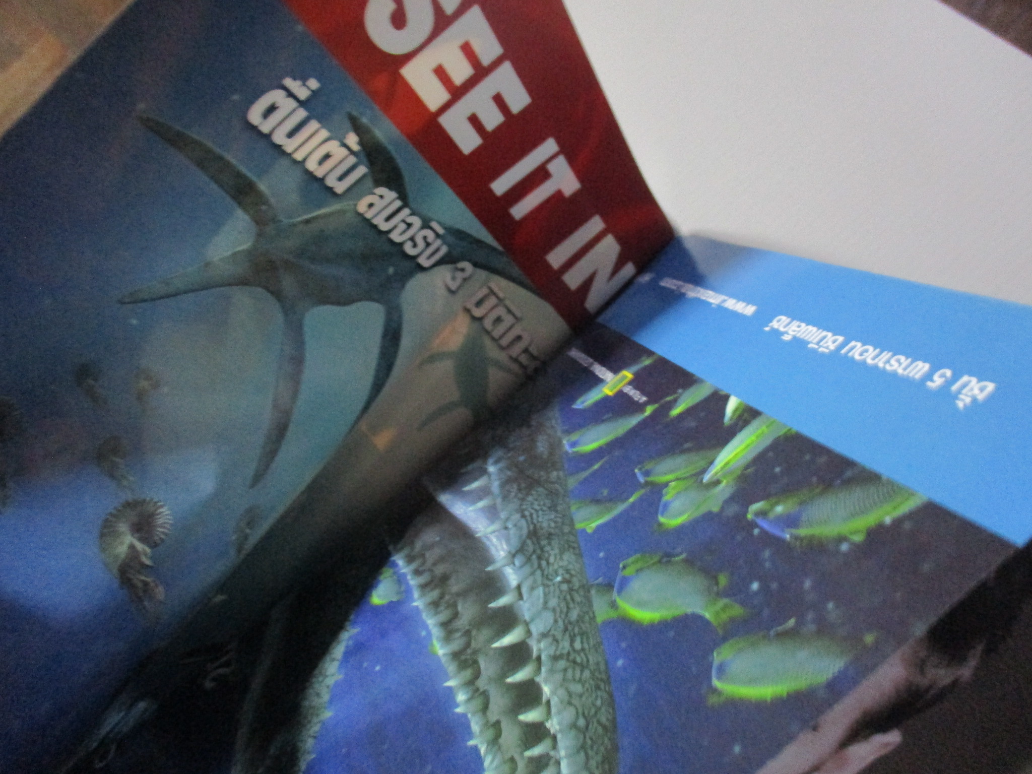 นิตยสารเอนเตอร์เทน Entertain ฉบับที่0975 ปี2551 ปก RAMBO 4 โปสเตอร์เรื่อง SEA MONSTERS 3D