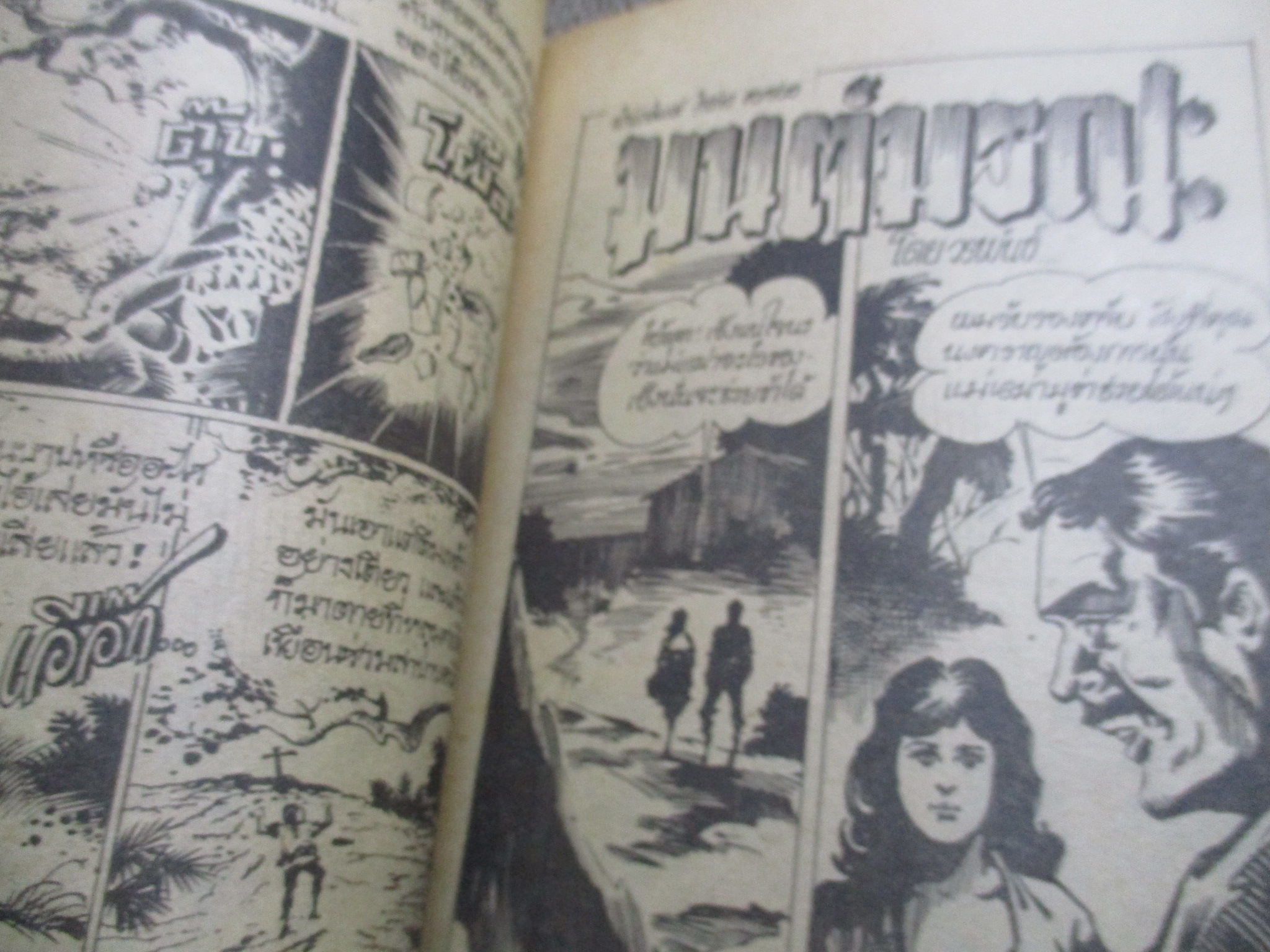 การ์ตูนไทยเล่มละบาท ปก5บาท เรื่อง รักสองต้องห้าม / เสรี รวี