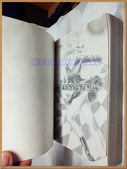 ขอแก้เผ็ดหนุ่มหลายใจ หมึกจีน เล่มหนา เล่มเดียวจบ