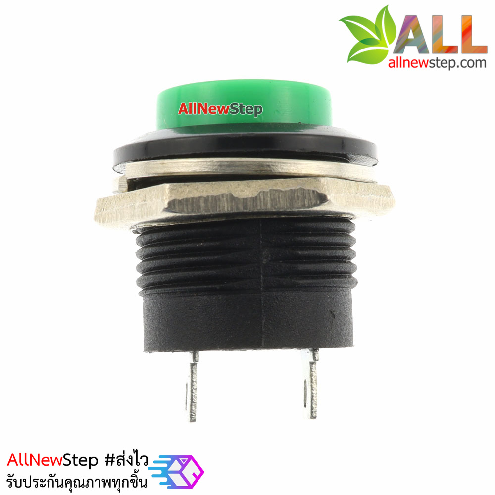 สวิตช์กดติดปล่อยดับ รีเซตสวิตช์ R13-507 250V 3A ขนาด 16MM สีเขียว