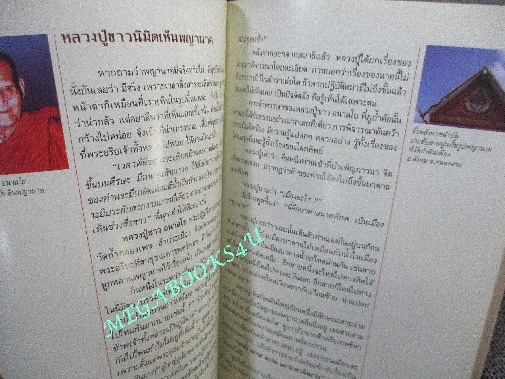หนังสือ ปาฏิหาริย์ฤทธาพญานาค รวมประสบการณ์-ศรัทธา-ปาฏิหาริย์แห่งนาคพิภพ ผู้เขียน ทศพล จังพานิชย์กุล