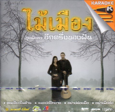 VCD Karaoke,ไม้เมือง ชุด อีกครึั่งของฝัน