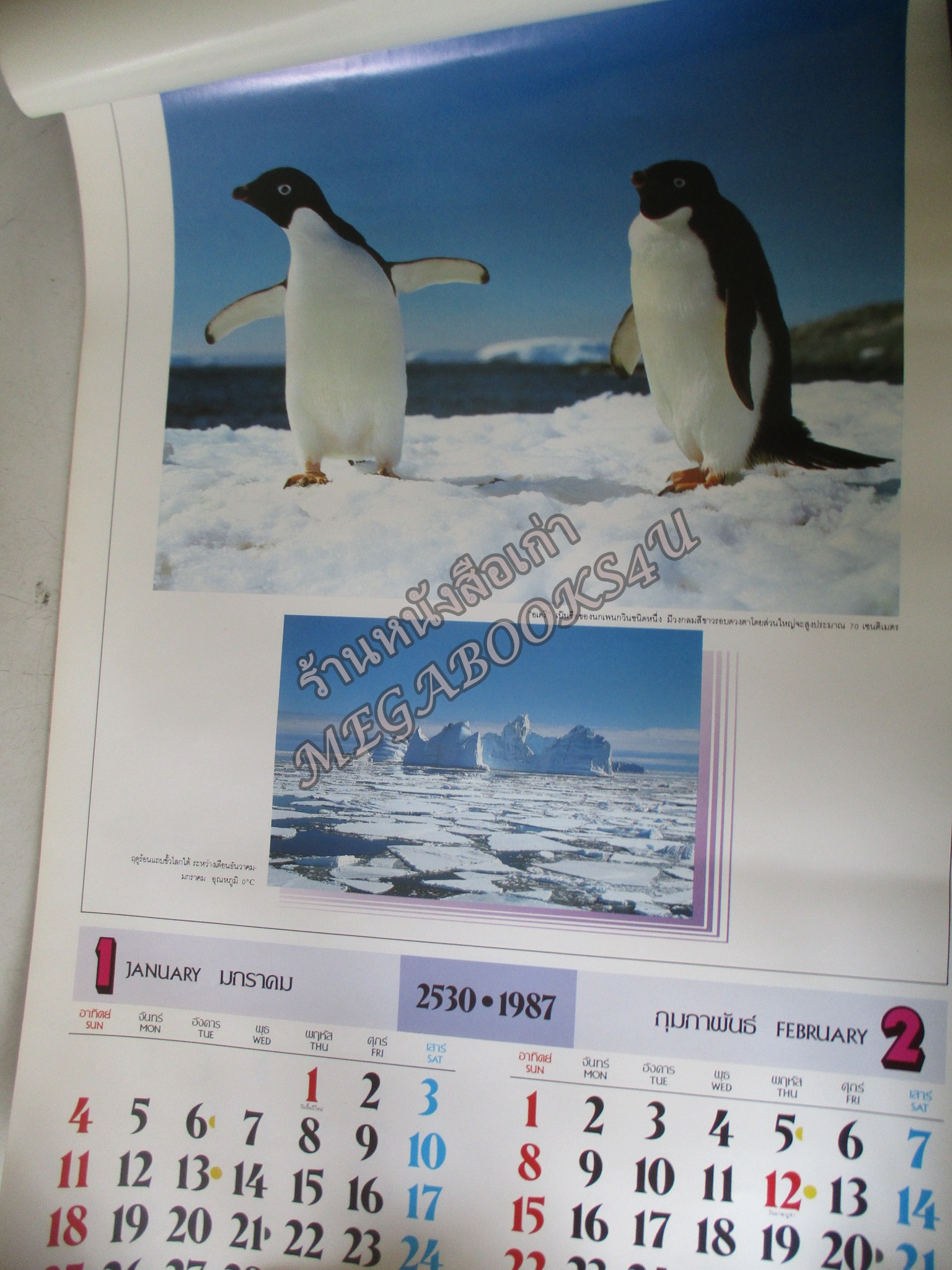 ปฏิทินแขวน ขั้วโลกใต้ ปี 2530 บ.อีซูซุ ไม่ผ่านการใช้งาน /