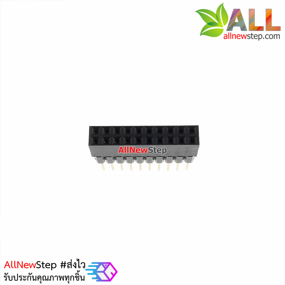 2x10 Pin 2.54mm double socket