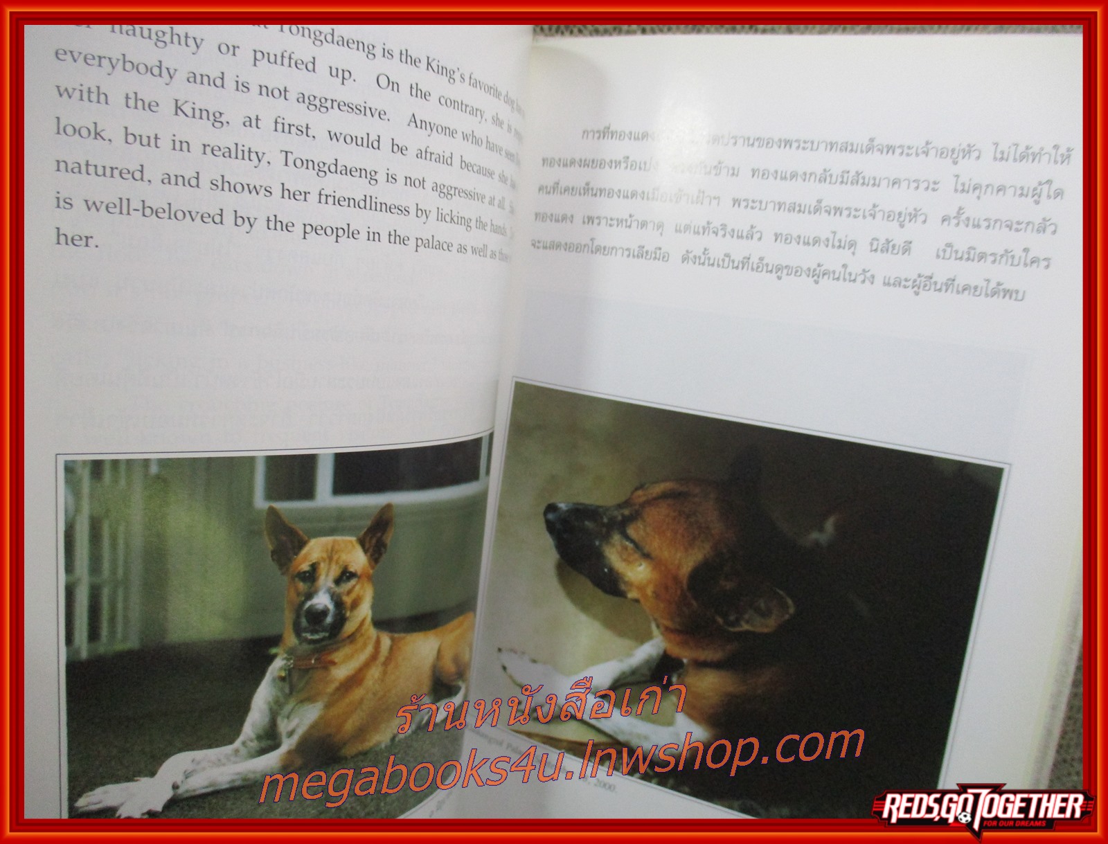 เรื่องทองแดง (THE STORY OF TONGDAENG) พระราชนิพนธ์ พระบาทสมเด็จพระเจ้าอยู่หัวภูมิพลอดุลยเดช