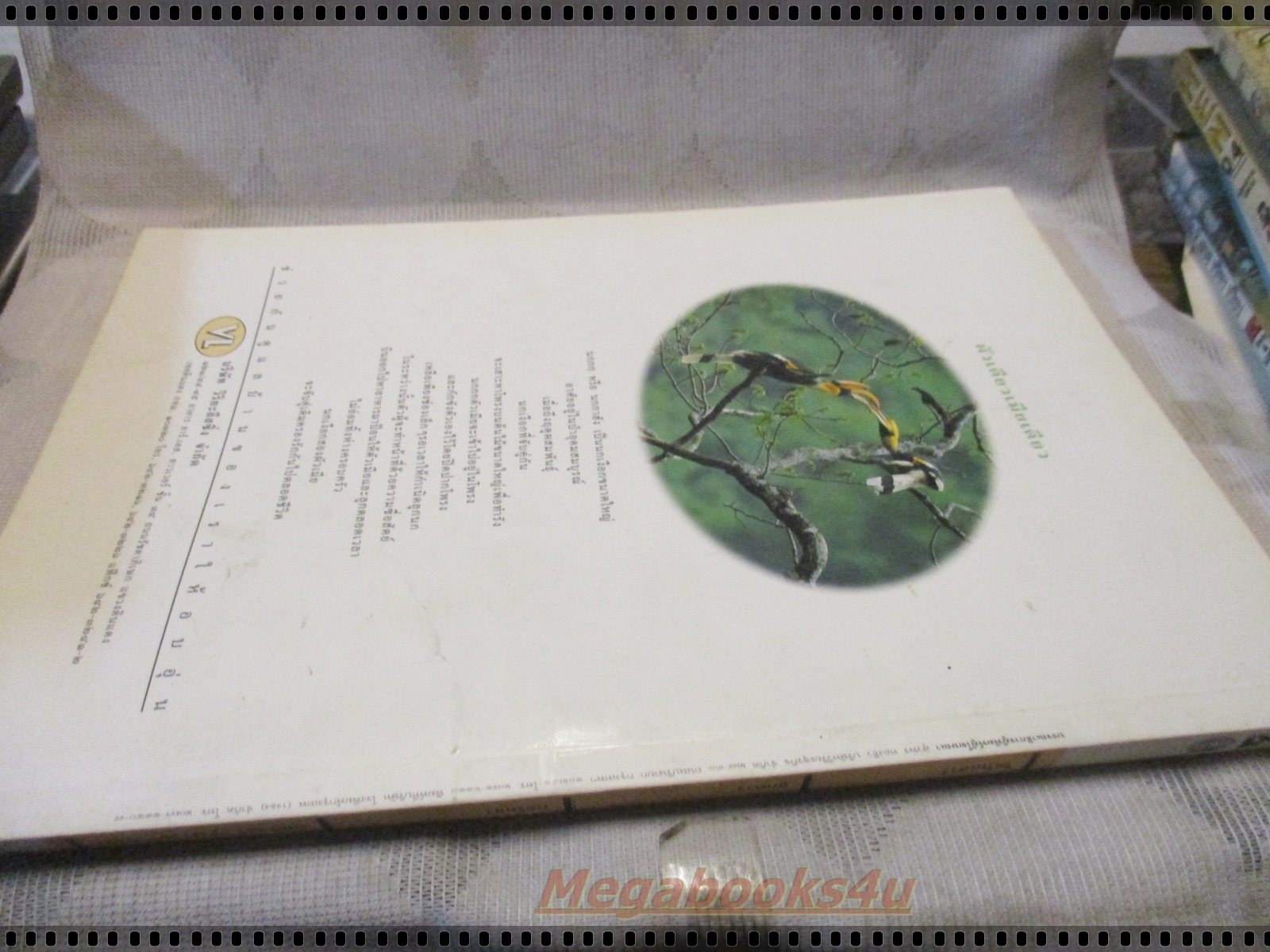 นิตยสารสารคดี ฉบับที่149 ปี2540 ไดโนเสาร์ ลูกตาว กอริลลา อุทยานฯเขาชะเมา