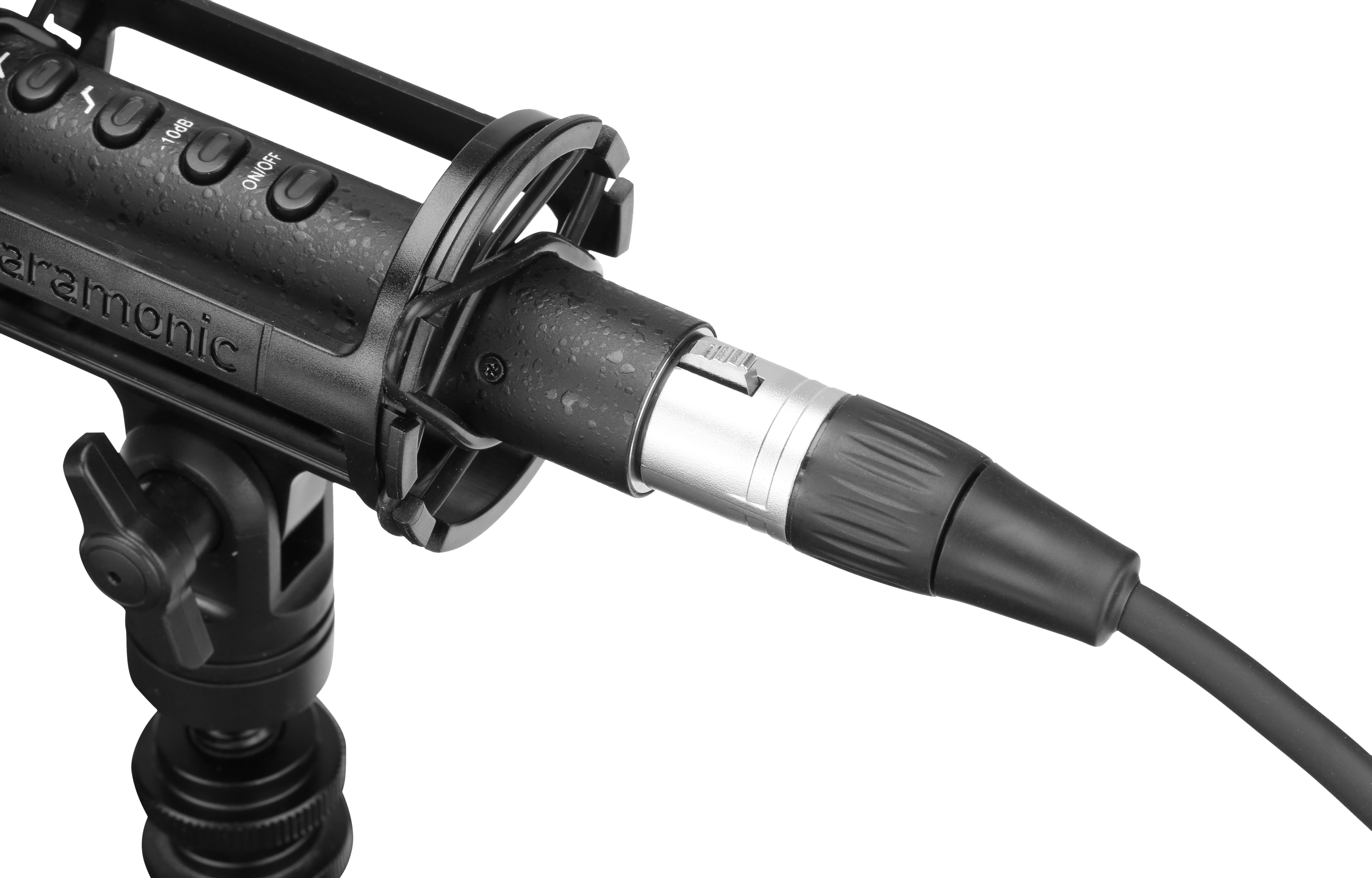 Saramonic Soundbird T3L