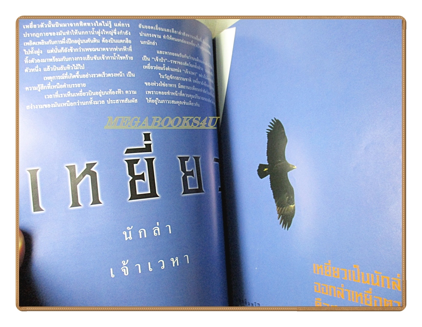 นิตยสารสารคดี ฉบับที่247 ปีที่21 2548 เหยี่ยว เมียฝรั่ง