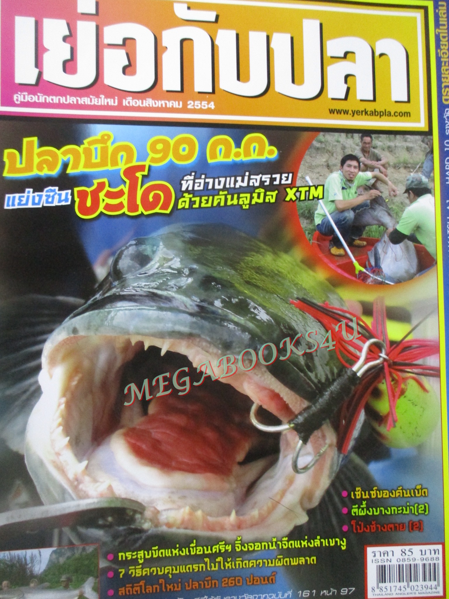 นิตยสาร เย่อกับปลา ฉบับที่163 2554 ปลาบึก 90 กก.