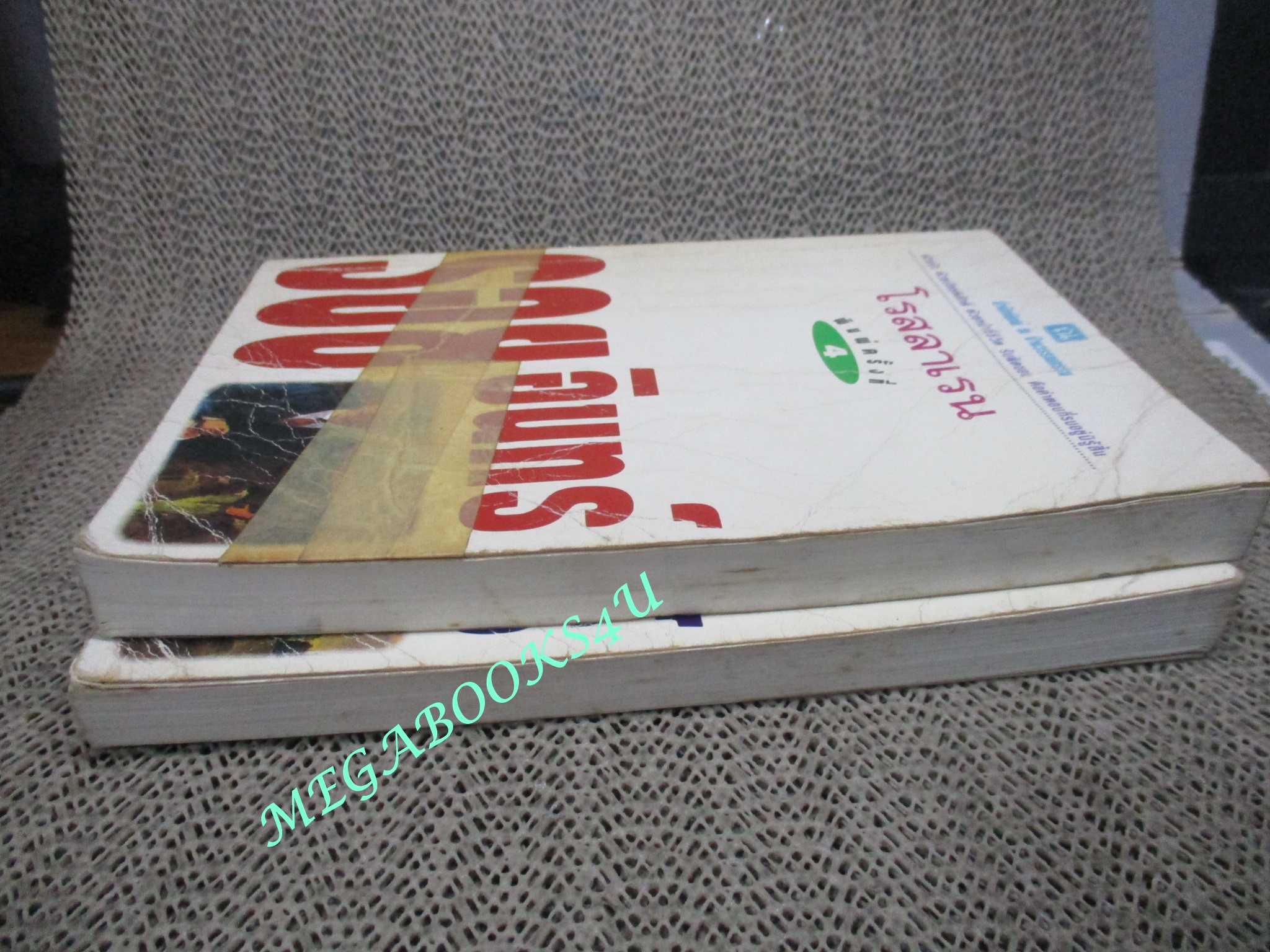 นิยาย รอยอินทร์ / โรสลาเรน สภาพอ่าน ปกยับ มีรอยขาด