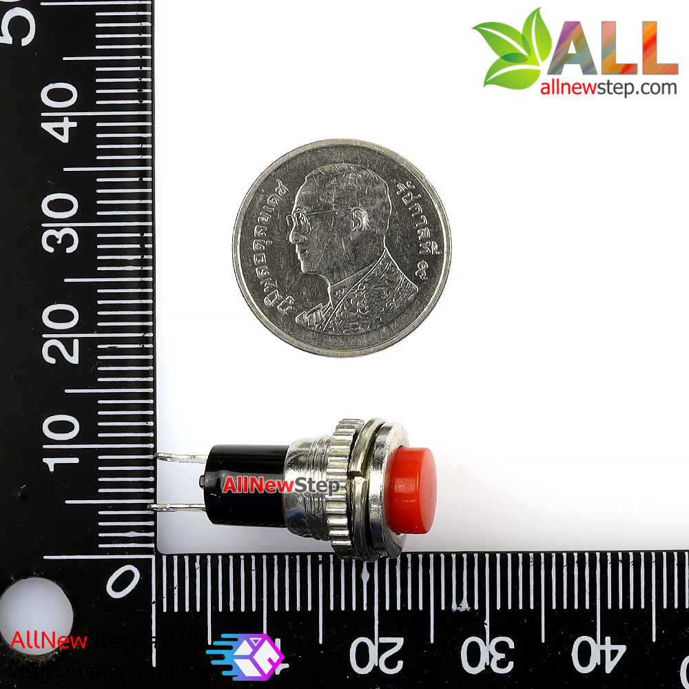 สวิตช์กดติดปล่อยดับ รีเซตสวิตช์ DS-316