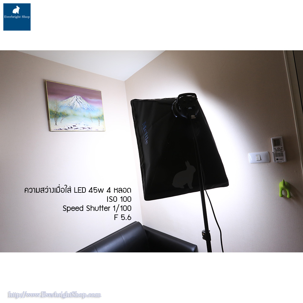 L-402 Light Kit max 8 bulbs