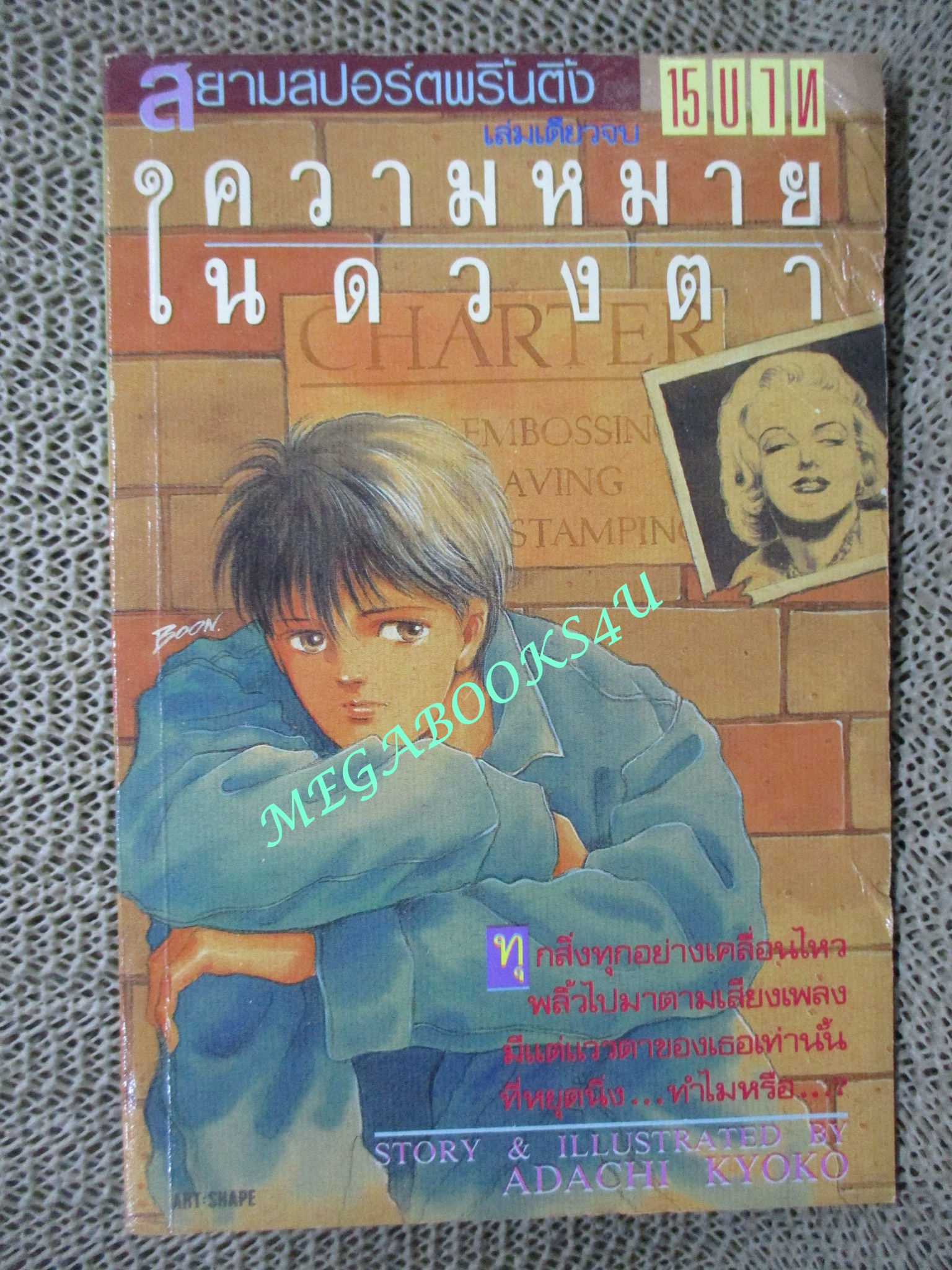ความหมายในดวงตา / ADACHI KYOKO / เล่มเดียวจบ / สยามฯ /
