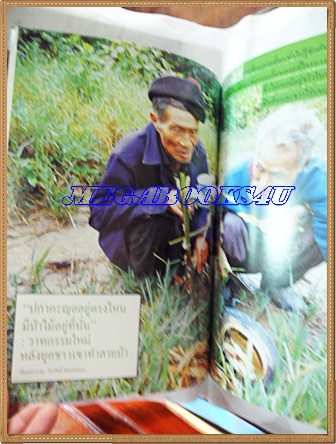 นิตยสารสารคดี ฉบับที่244 ปีที่21 มิถุนายน 2548;ฮิวอี้จากแบล็กฮอว์ก,ป่าชุมชน,ตามรอยตำนานพระแก้วมรกต