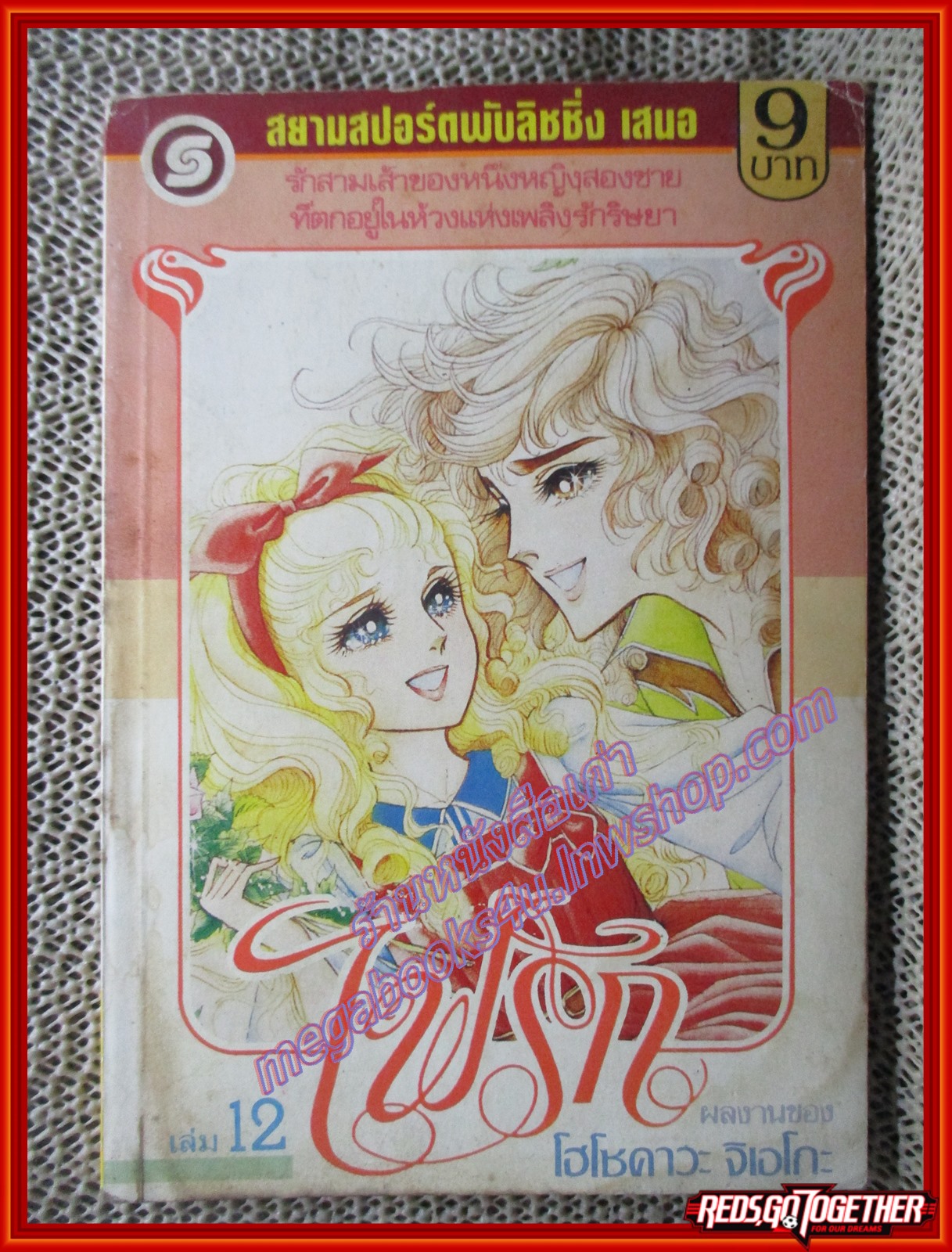 การ์ตูนบ้าน ไฟรัก เล่ม12 โดย โฮโชคาวะ จิเอโกะ สนพ.สยามฯ (17เล่มจบ)