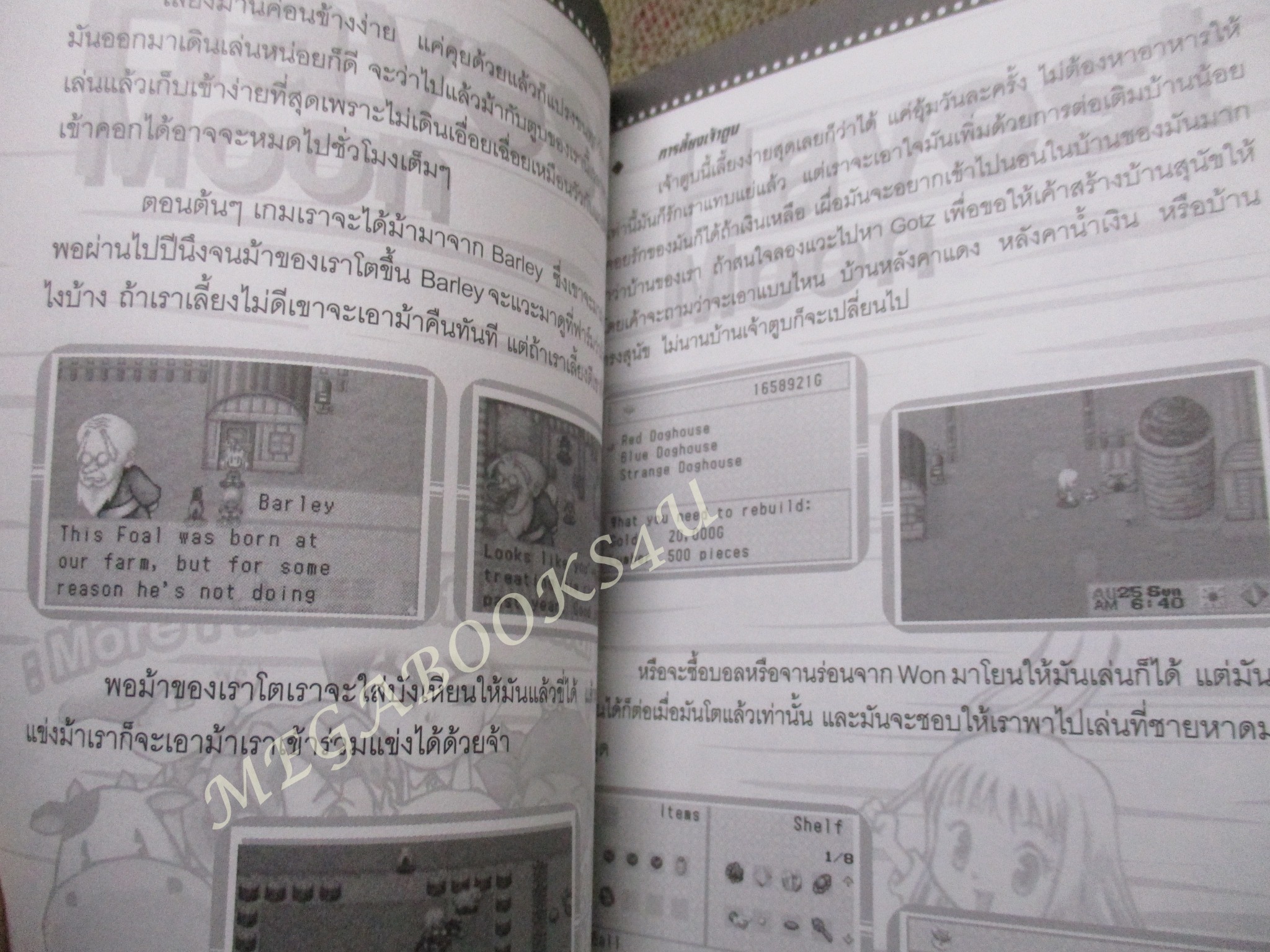 คู่มือเกมส์ HARVEST MOON more friends of mineral town