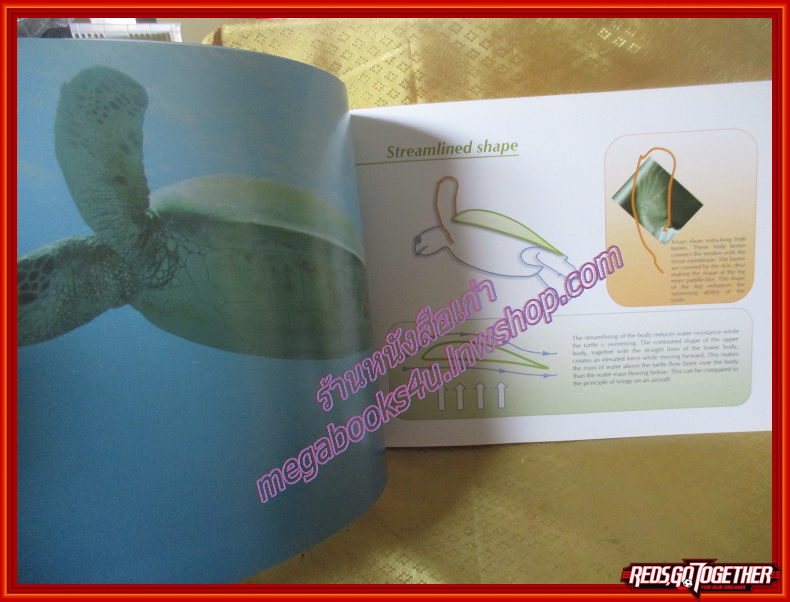 หนังสือ ชีววิทยาและการอนุรักษ์ เต่าทะเล SEA TURTLE (ฉบับภาษาอังกฤษ)