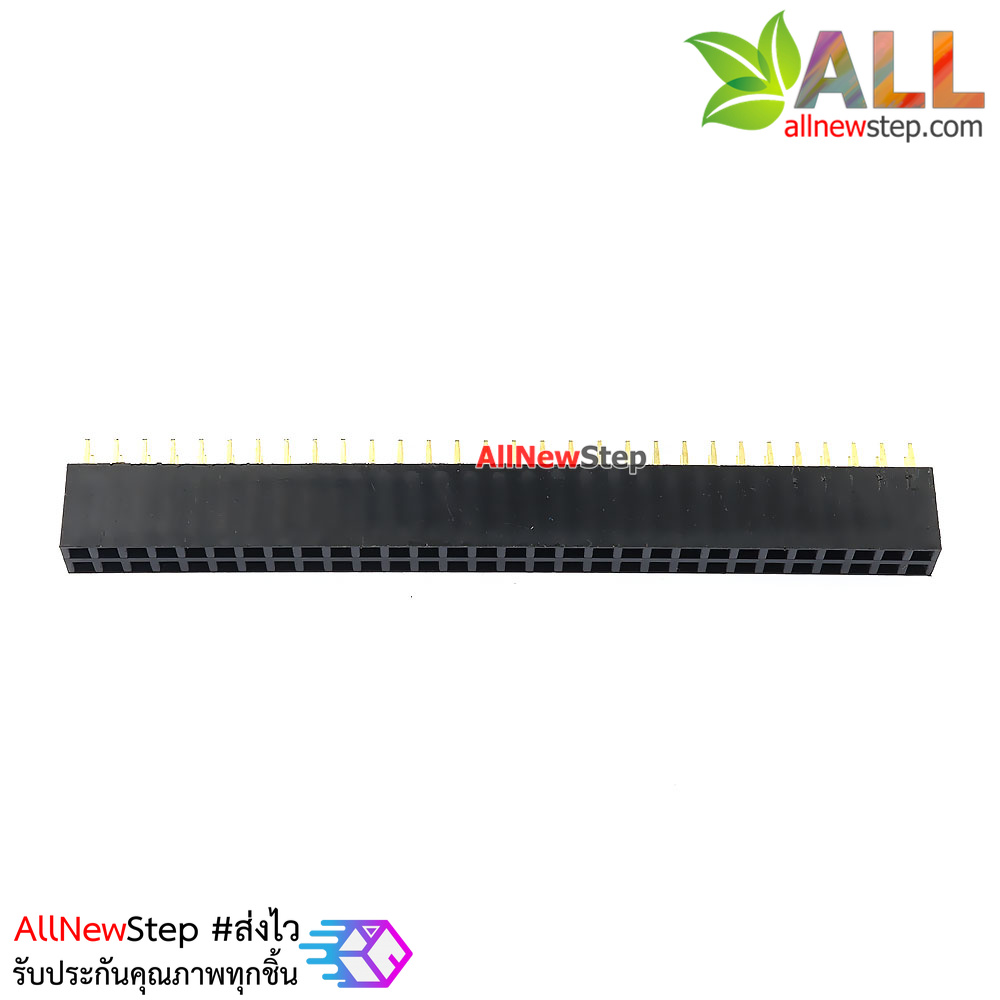 2x30P 2.54mm pitch female double row female socket 2x30 pin