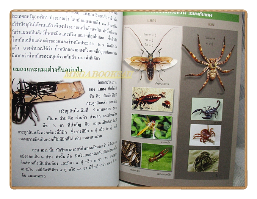 สารานุกรมไทยสำหรับเยาวชนฉบับเสริมการเรียนรู้ เล่ม17 โดยพระราชประสงค์ในพระบาทสมเด็จพระเจ้าอยู่หัว