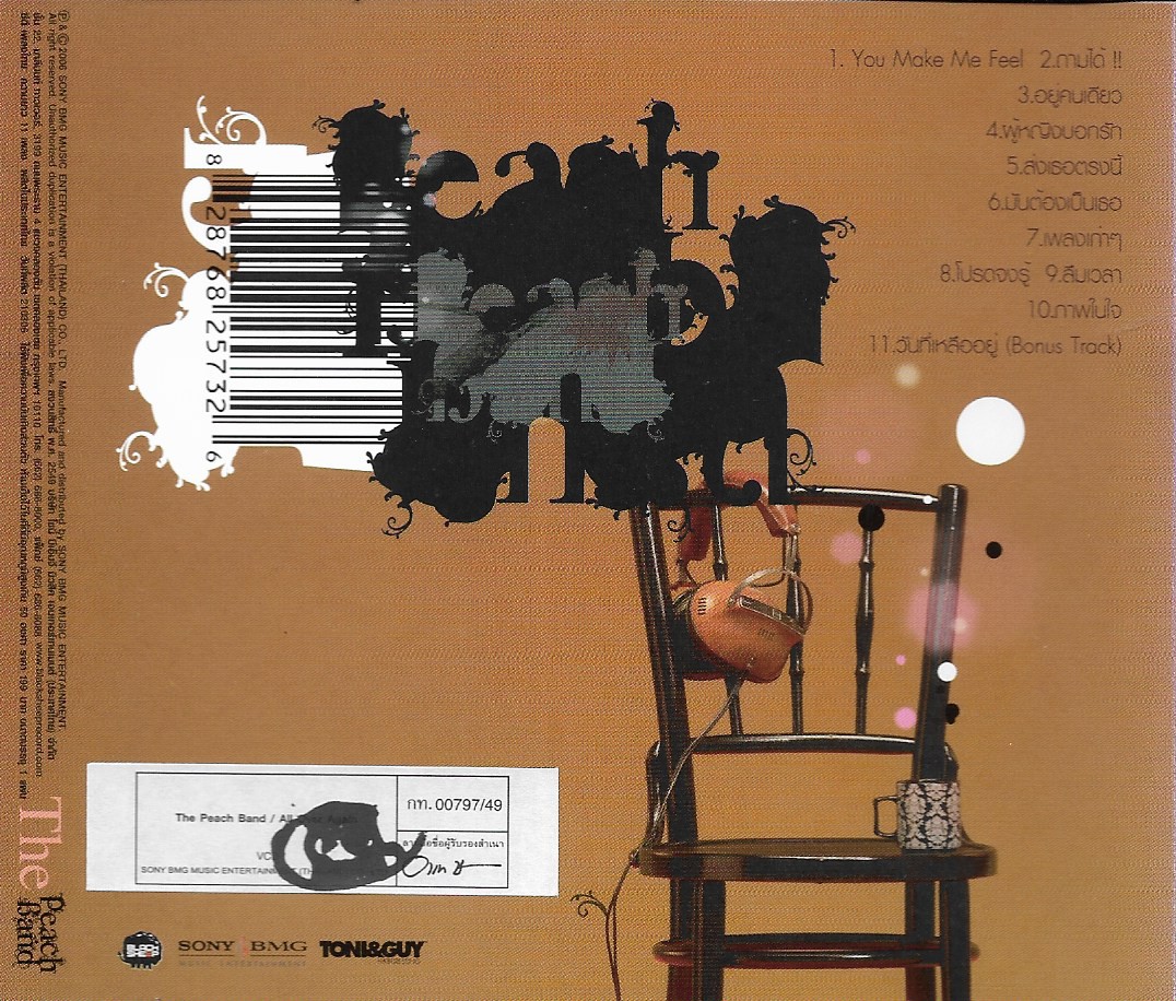 VCD Karaoke,The Peach Band - All Over Again (เดอะ พีชแบนด์)(วีซีดี คาราโอเกะ)(2549)