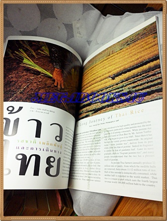 นิตยสารสารคดี ฉบับที่163 กันยายน 2541 ปีที่14 ข้าวไทย,สิกข์,เห็ดโคน,ภาพข่าวโลก1998