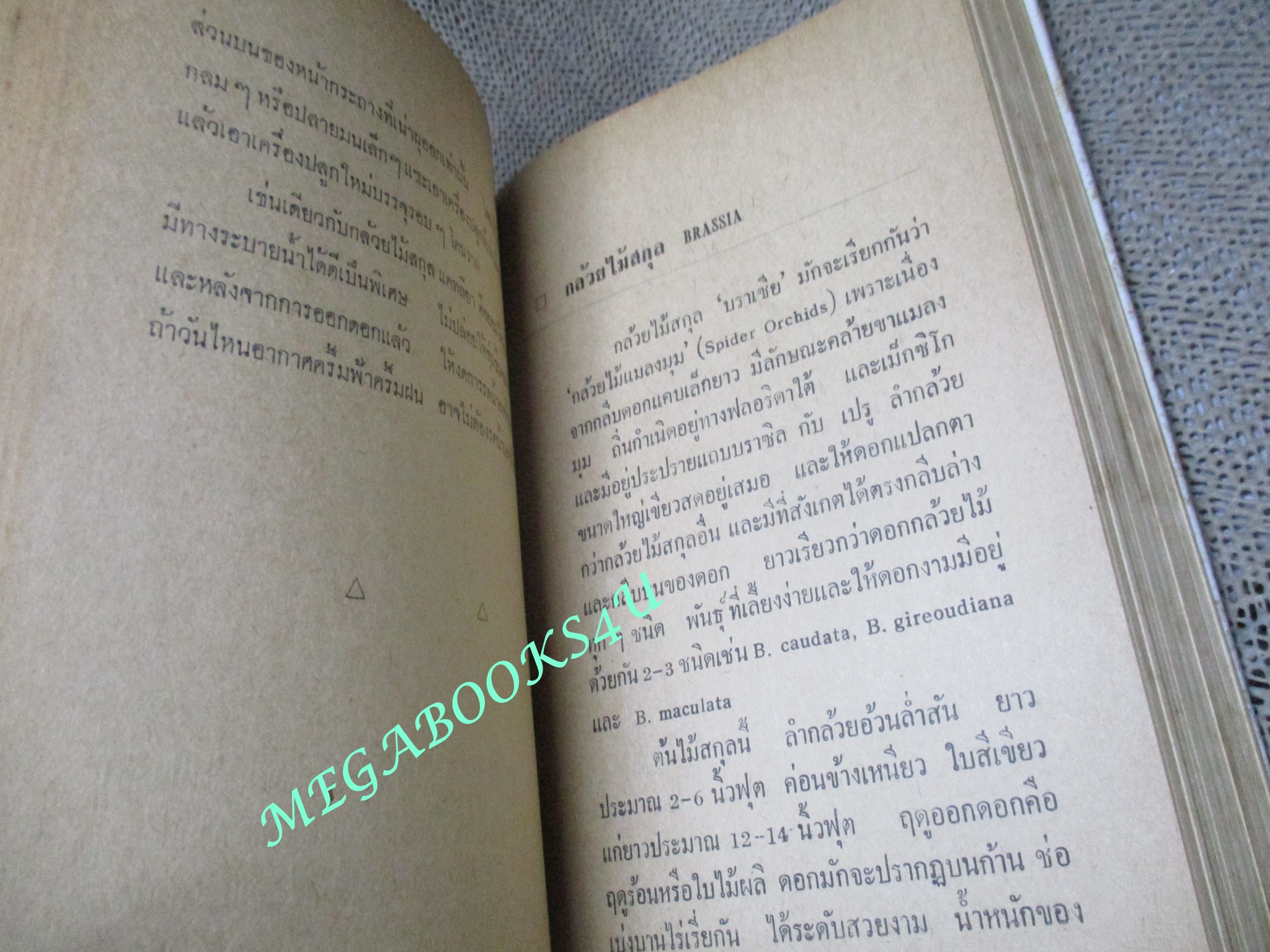 วิธีปลูกและขยายพันธุ์ กล้วยไม้ / รพีภรณ์ ปี2516
