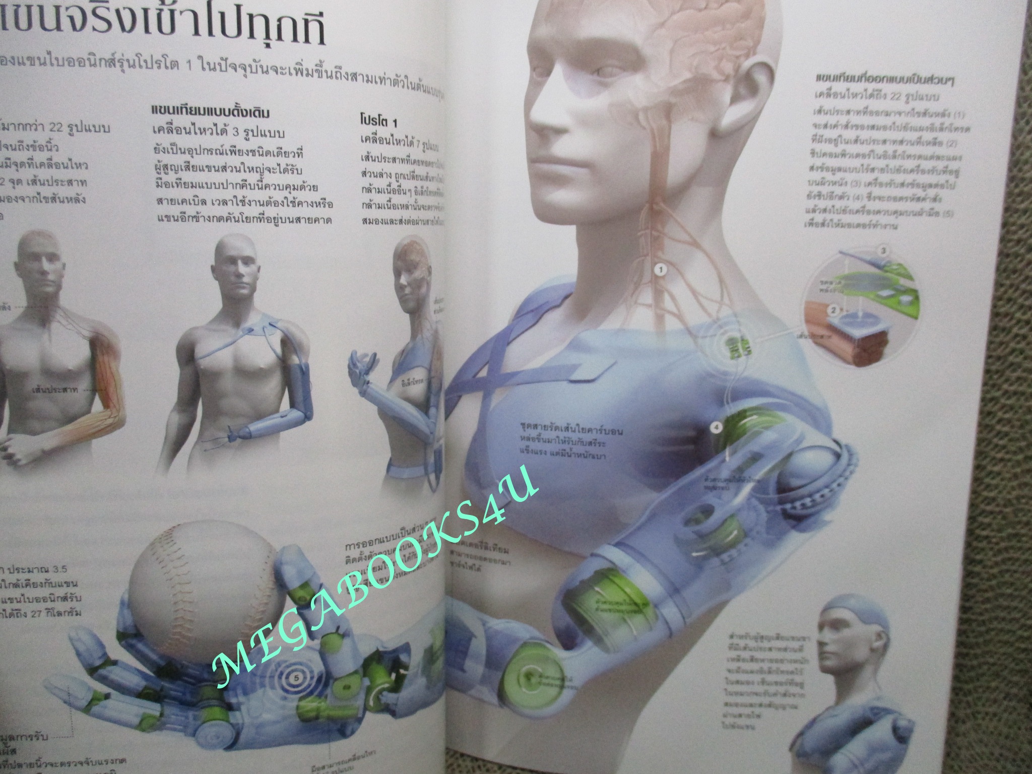 นิตยสาร เนชั่นแนลจีโอกราฟิก National Geographic ฉบับ102 2553 กรุงเทพฯ 24 ชั่วโมง, ปลาการ์ตูน