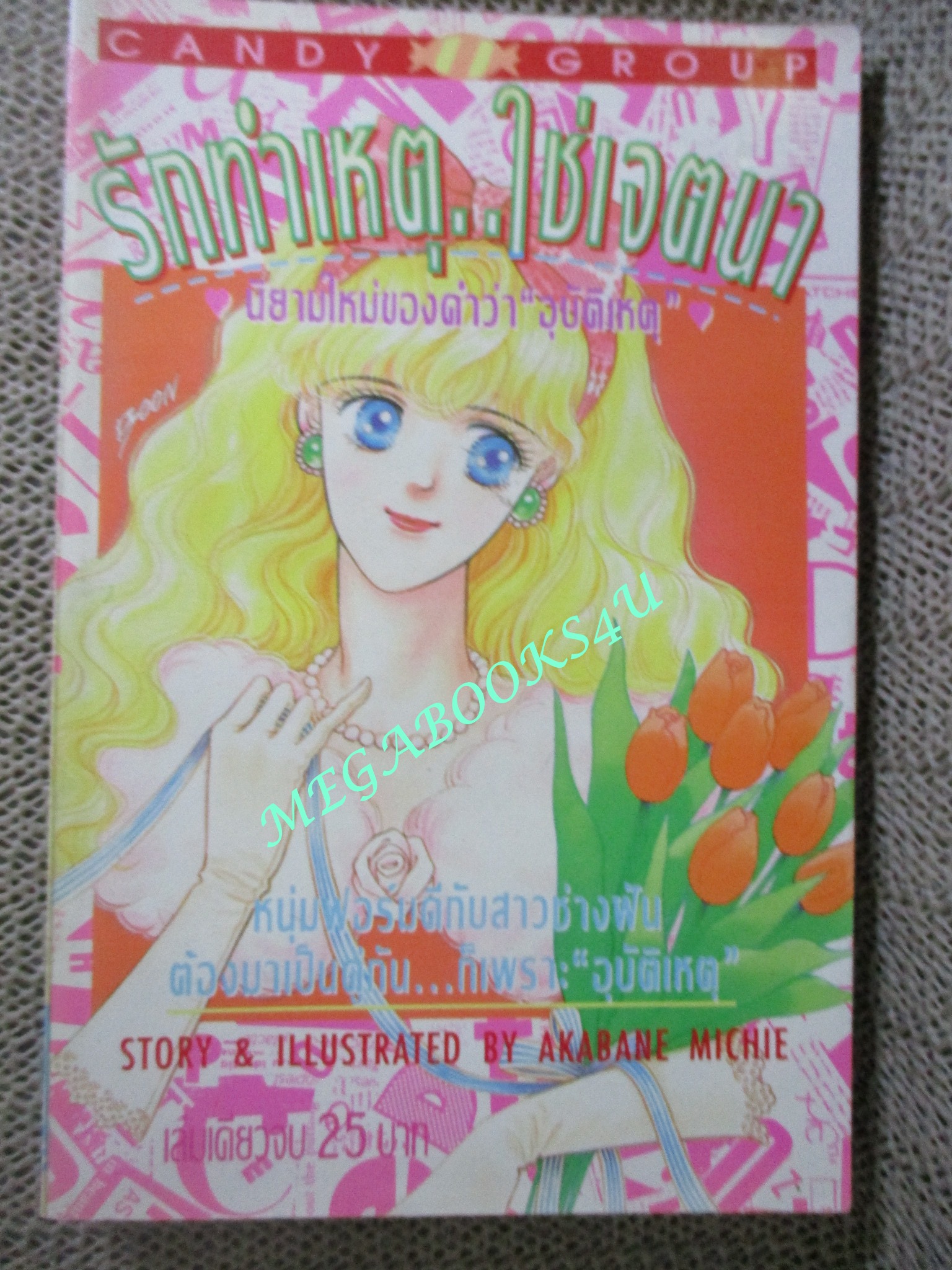 รักทำเหตุ ใช่เจตนา โดย AKABANE MICHIE เล่มเดียวจบ สนพ.แคนดี้ การ์ตูนบ้าน