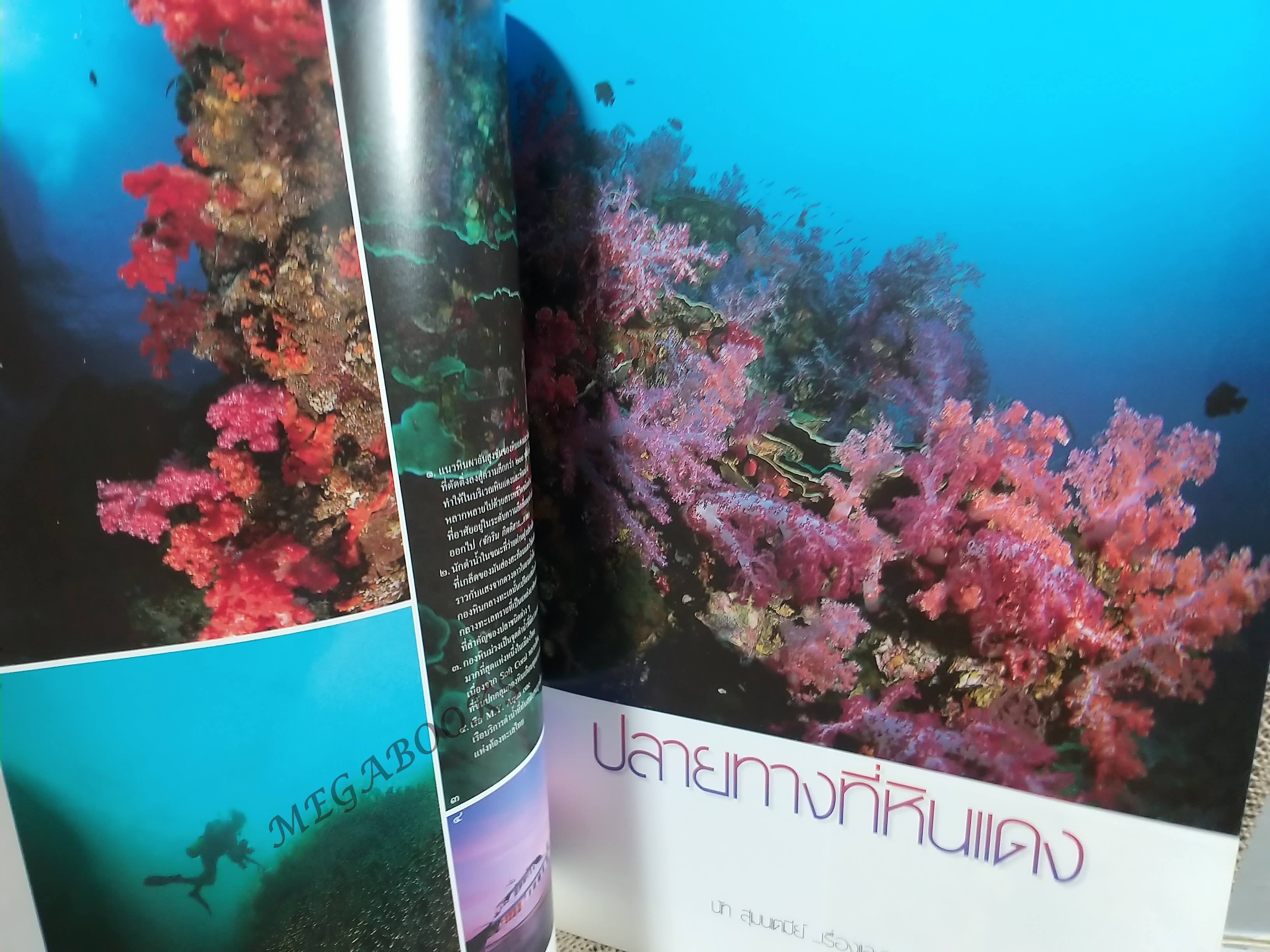 อนุสาร อ.ส.ท. ปี39 เม.ย 2542 สตูล ตะรุเตา