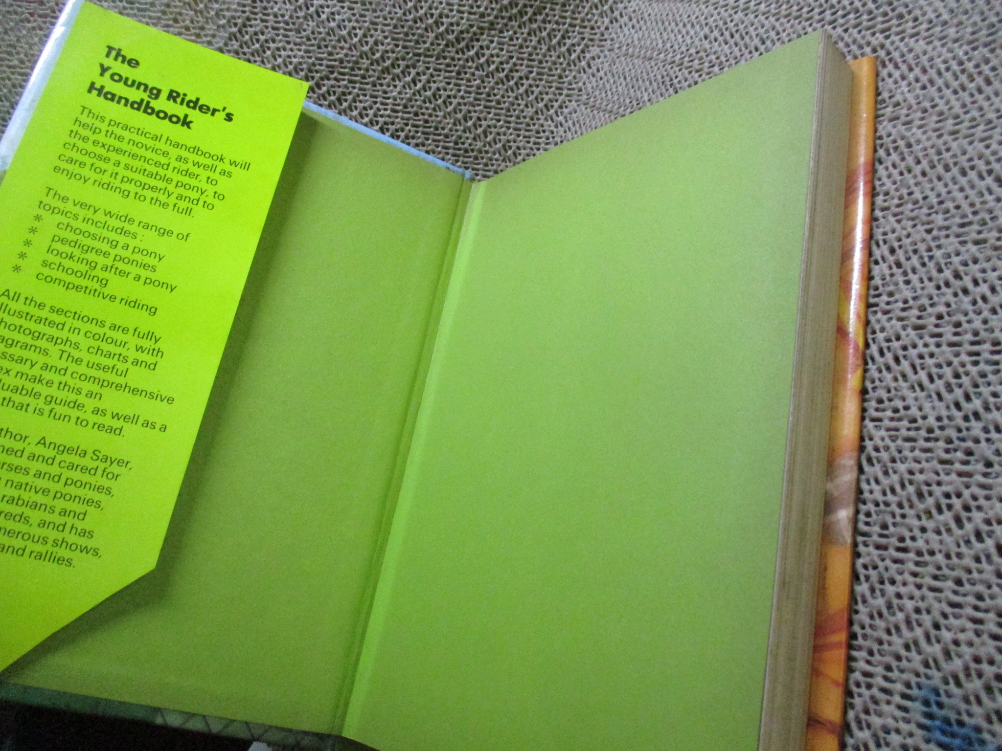 The Young Riders Handbook by Angela Sayer (Hardcover) / HAMLYN