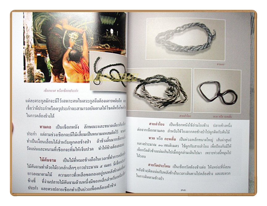 สารานุกรมไทยสำหรับเยาวชนฉบับเสริมการเรียนรู้ เล่ม12 โดยพระราชประสงค์ในพระบาทสมเด็จพระเจ้าอยู่หัว