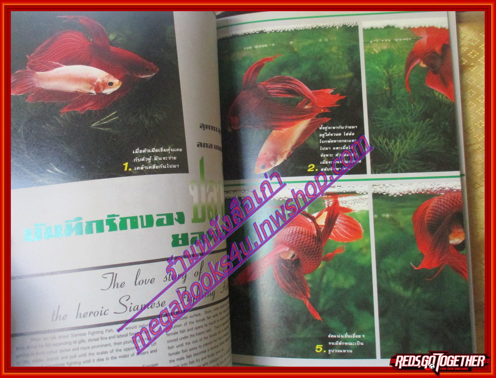 นิตยสารสารคดี ฉบับที่042 สิงหาคม 2531 ปลากัดยอดนักสู้ คนคุ้ยขยะ สัมภาษณ์ ชดช้อย โสภณพนิช