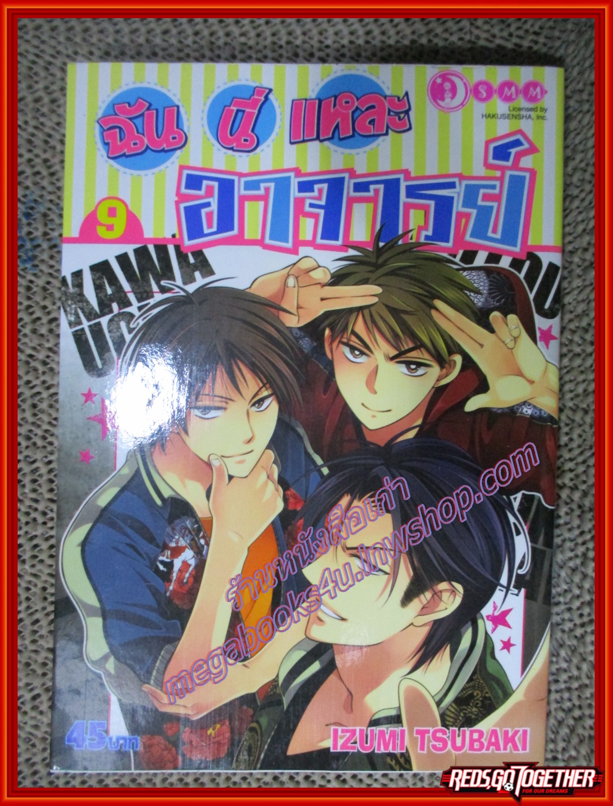 การ์ตูนบ้าน ฉันนี่แหละอาจารย์ สนพ.สยามฯ สภาพดี ปัจจุบันออกมา เล่ม 01-18 ยังไม่จบ