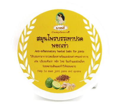 สมุนไพรบรรเทาปวด/ พอกเข่า แก้ปวดเข่า ปวดหลัง ปวดตามข้อ : Anti-inflammatory Herbal Balm for Joints (Large) 300 g.