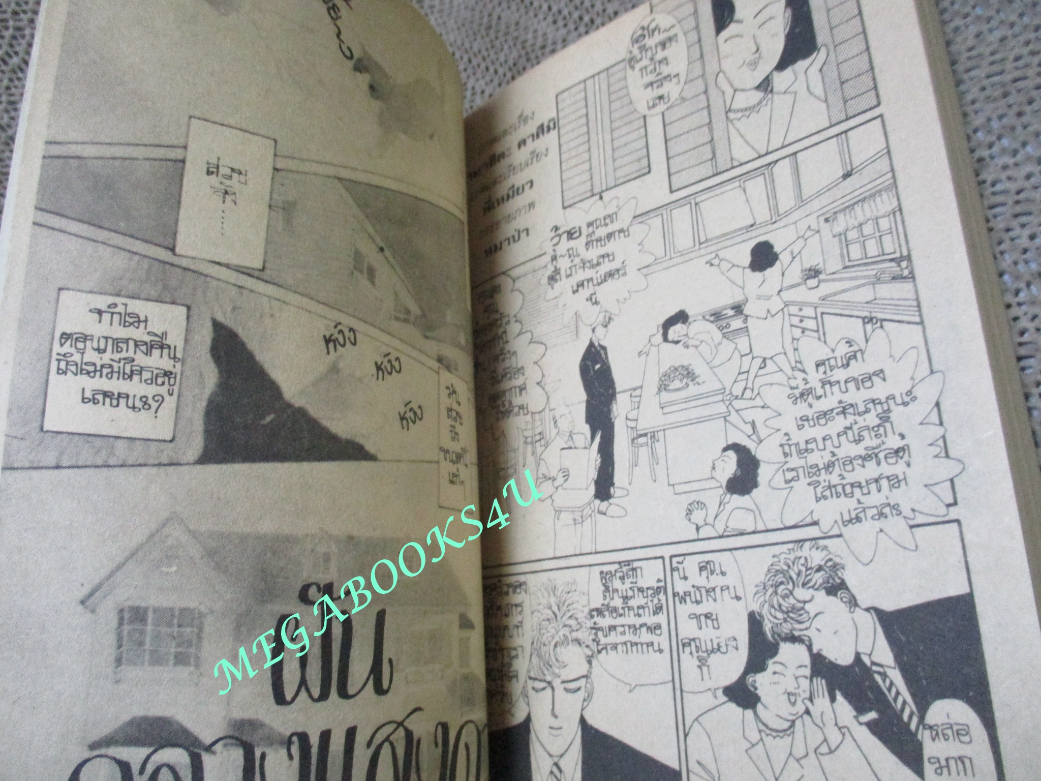 การ์ตูนบ้าน ฝันกลางแสงดาว / เล่มเดียวจบ / สยามฯ /