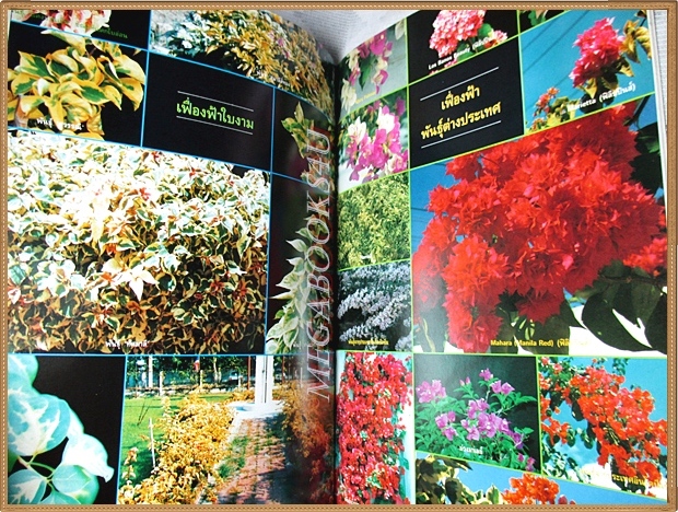 เฟื่องฟ้า โดย ดร.ณรงค์ โฉมเฉลา จัดพิมพ์โดยสมาคมไม้ประดับแห่งประเทศไทย สภาพดี