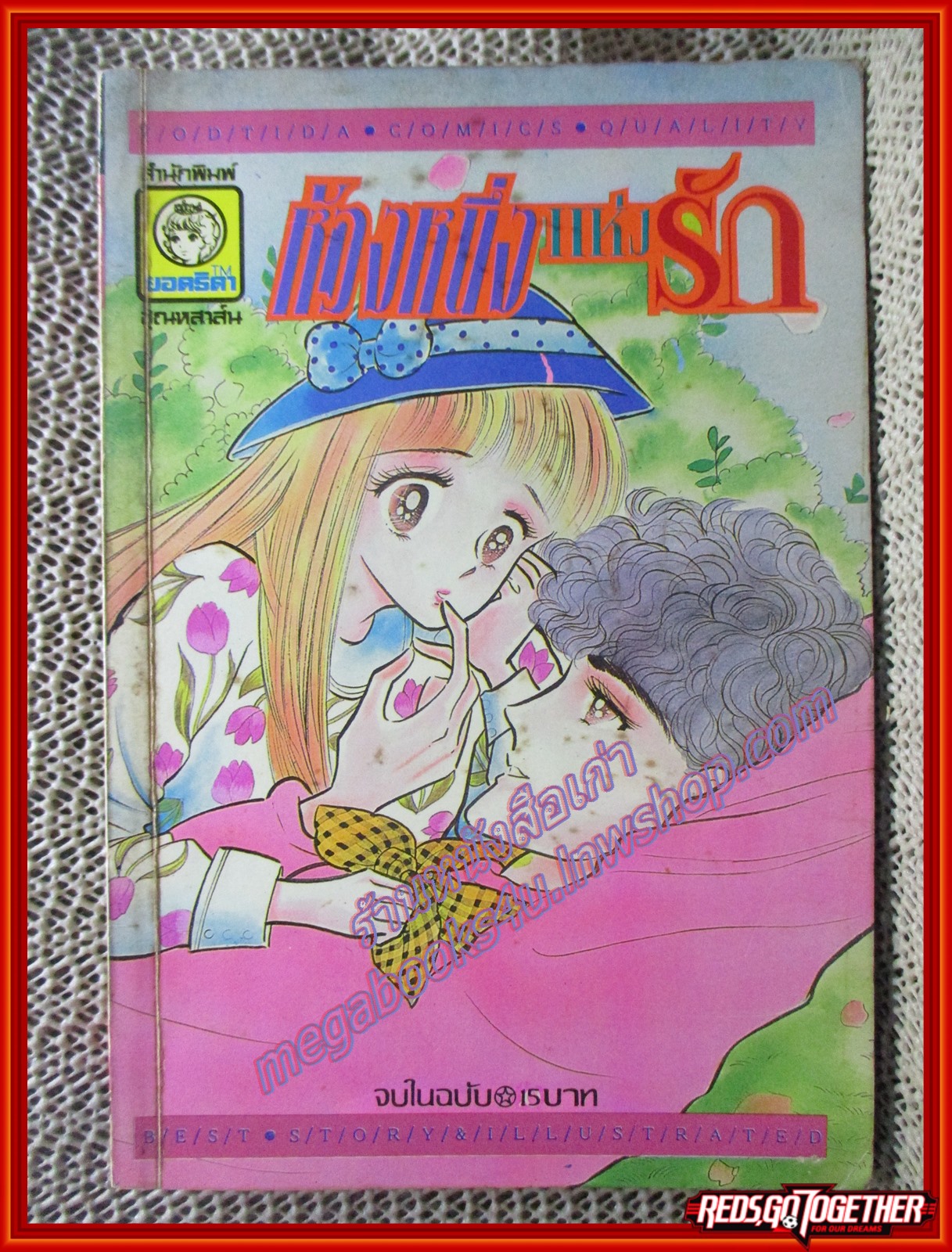 การ์ตูนบ้าน ห้วงหนึ่งแห่งรัก เล่มเดียวจบ
