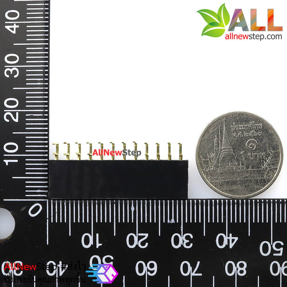 ขาก้างปลาตัวเมียแบบฉาก 2x12 ขา Double Row Hole Jack 2x12PIN Header 2.54mm