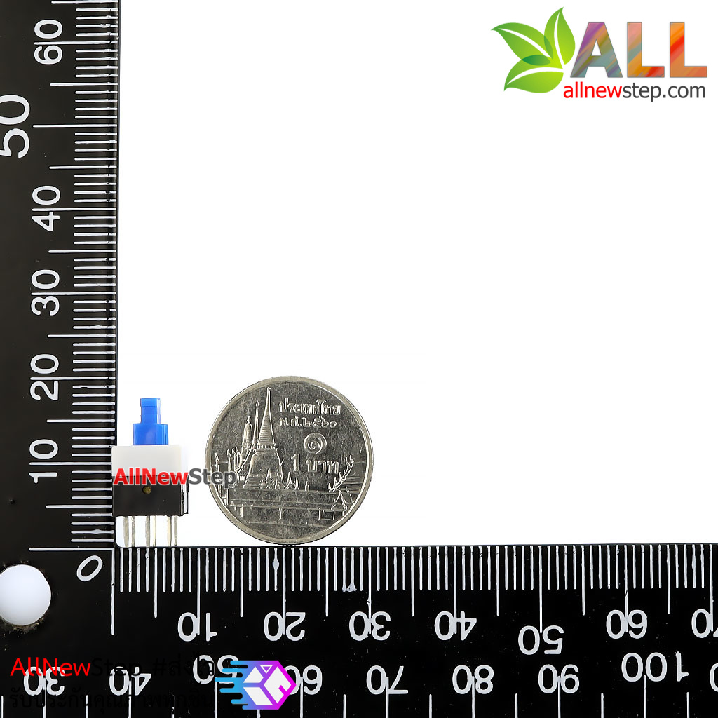 สวิตช์กดติดปล่อยดับ reset switch