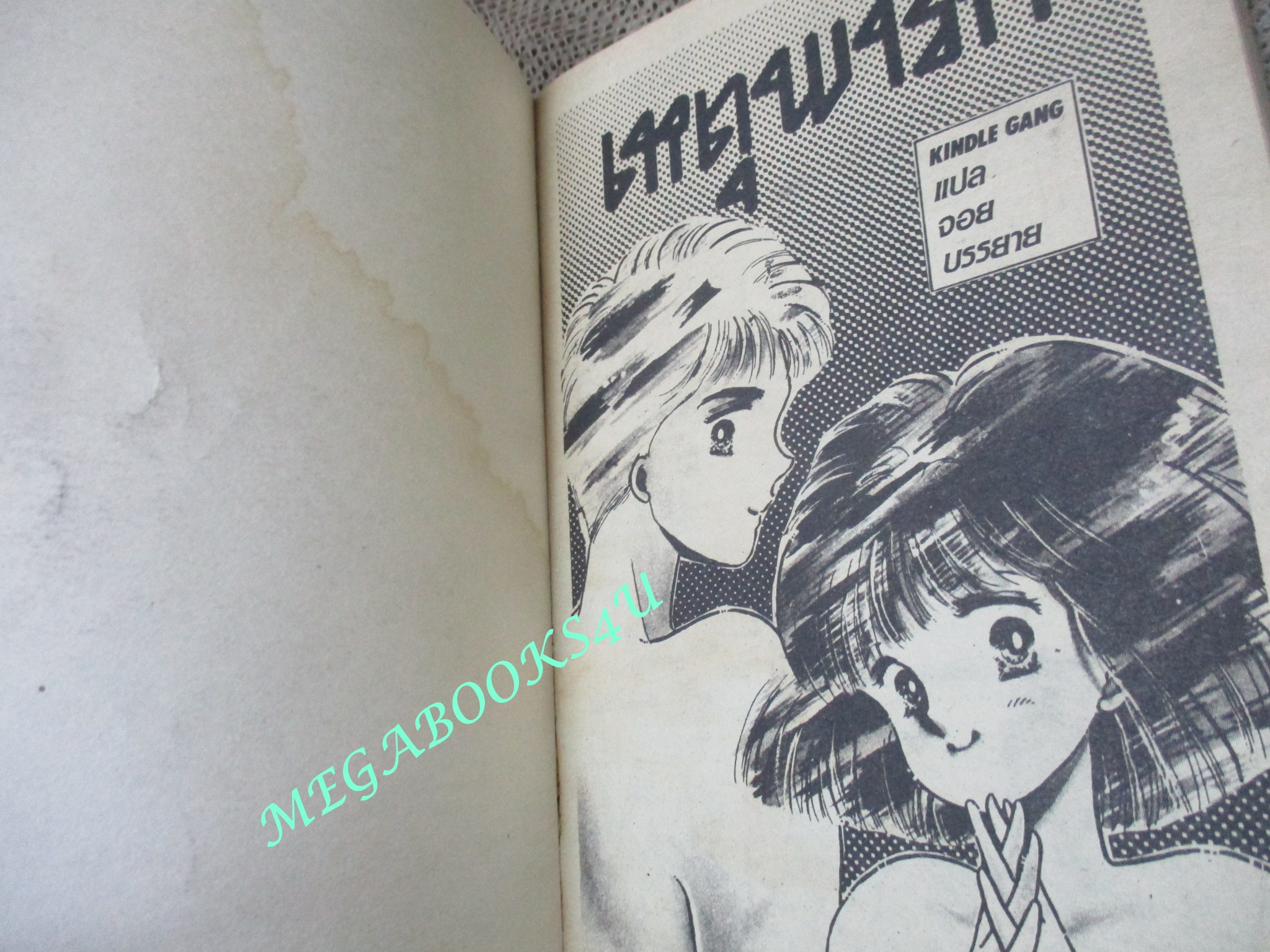 เหตุพารัก / เล่มเดียวจบ /วิบูลย์กิจ /