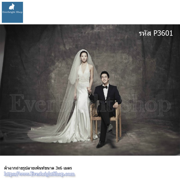 Paint Backdrop Cloth 3x6M _P3601