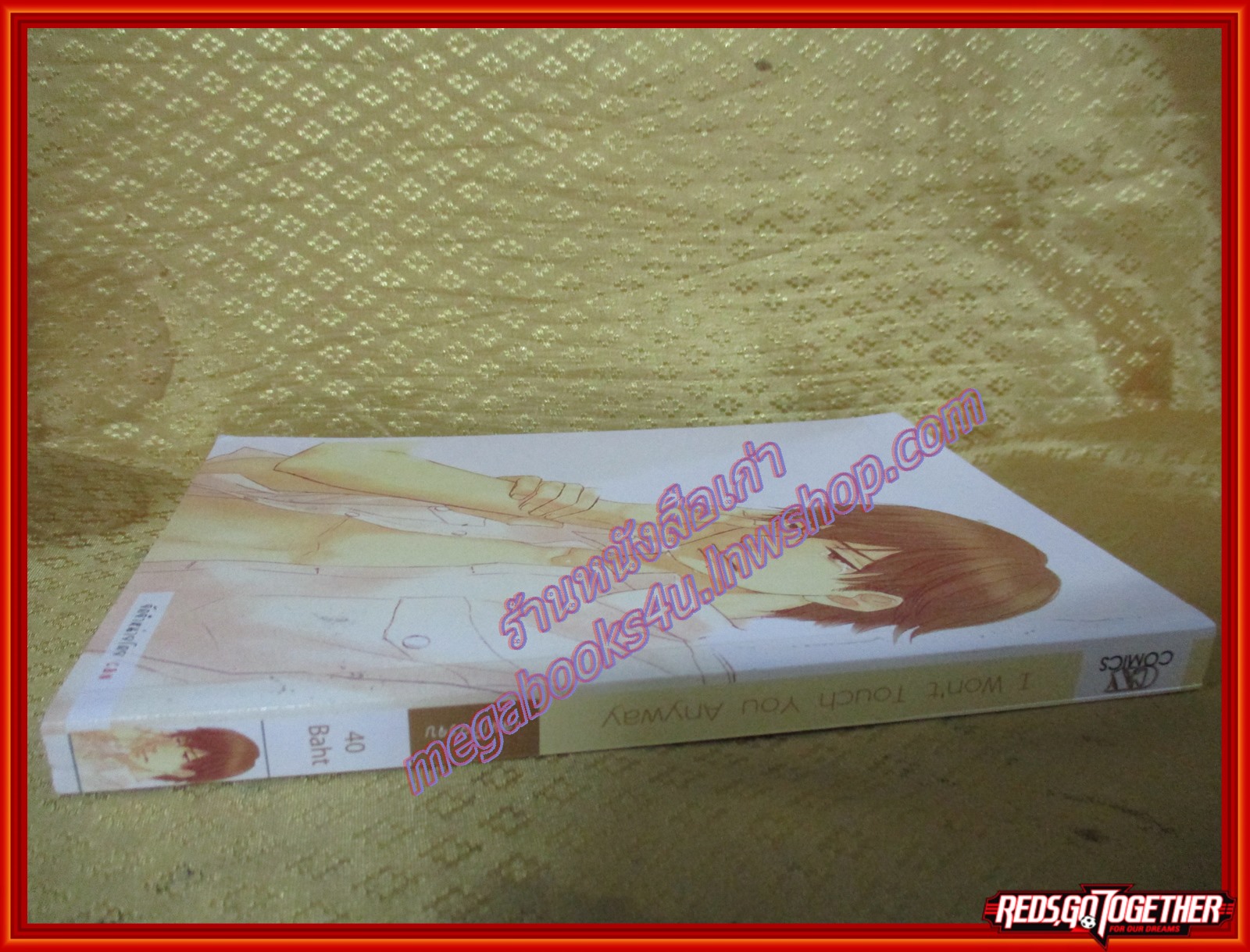 การ์ตูนวาย I WON'T TOUCH YOU ANYWAY