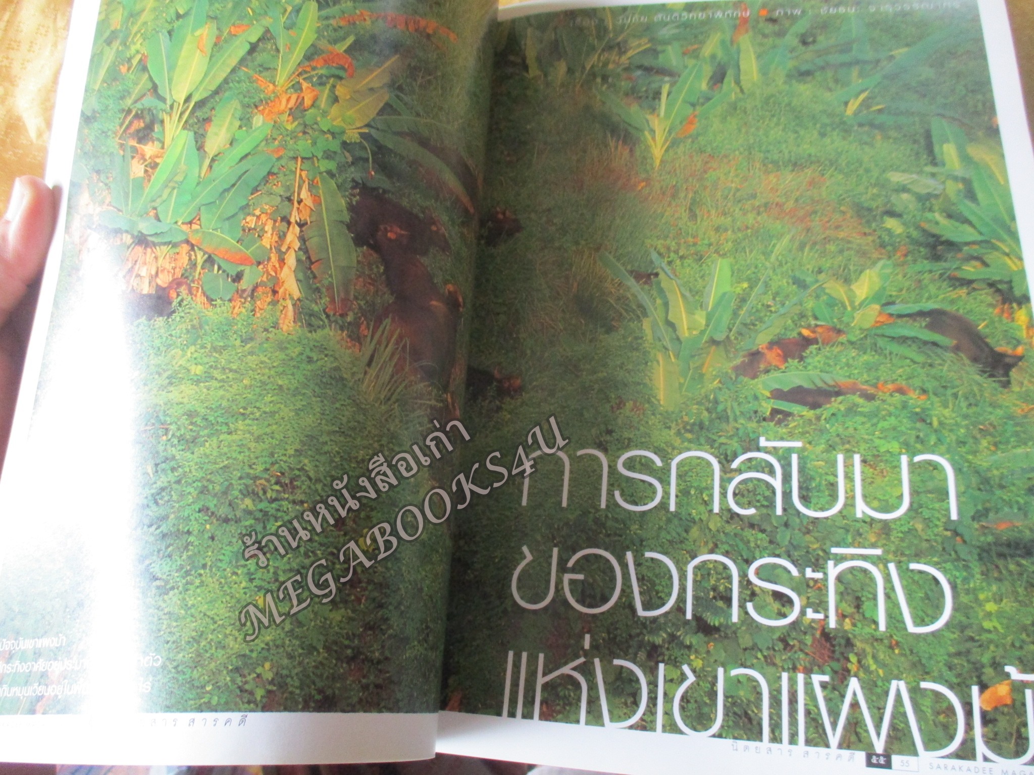 นิตยสารสารคดี ฉบับที่204 ปี2545 พลอยม่ดากัสการ์ / กระทิงแห่งเขาแผงม้า / สัมภาษณ์ ฮิวโก้